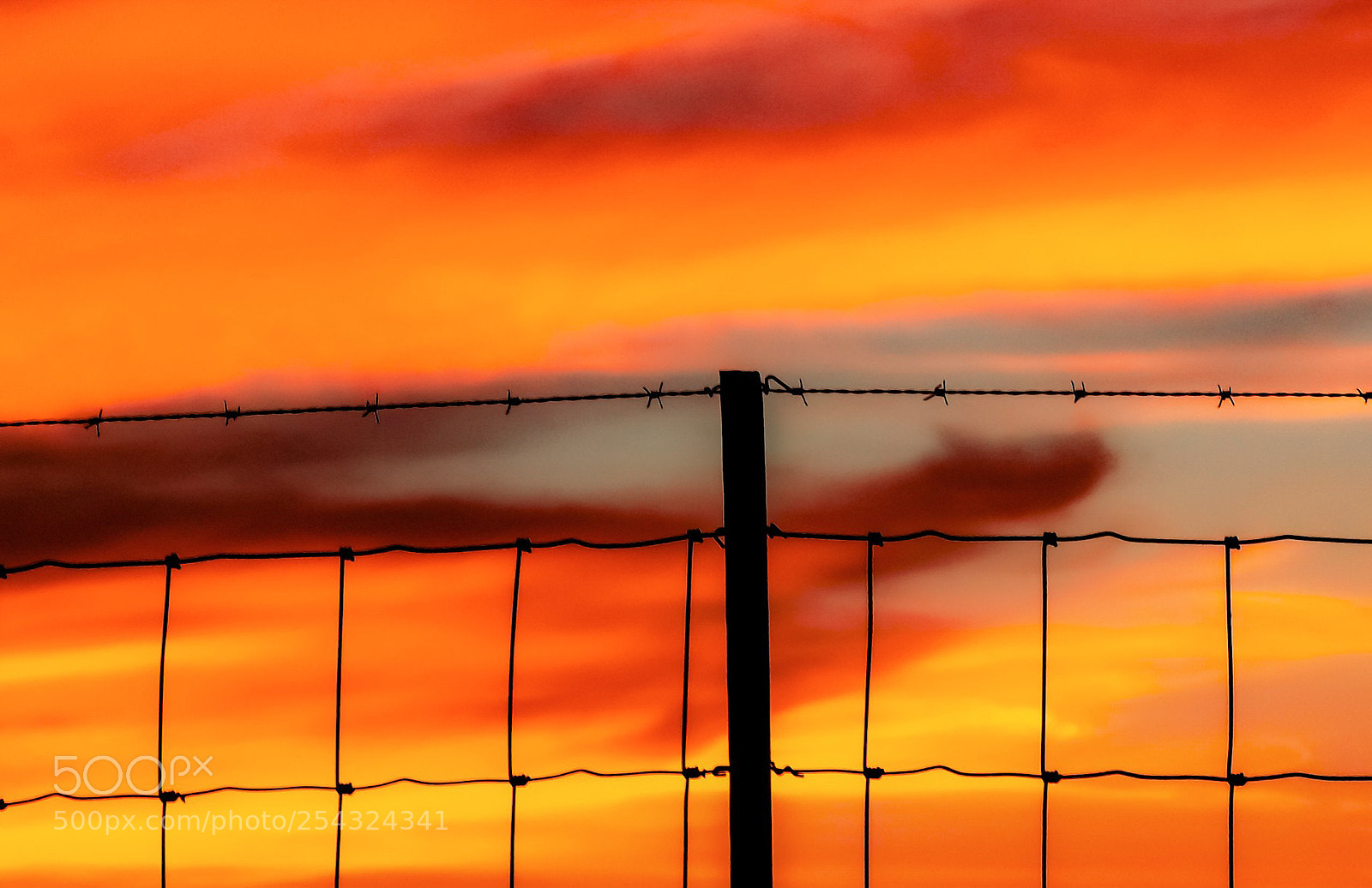 Nikon COOLPIX L340 sample photo. Fence and weird sky photography