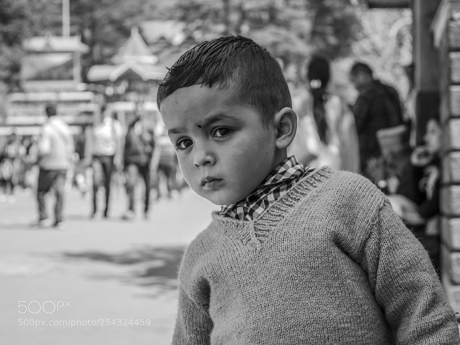 Nikon D7000 sample photo. Curiousity photography