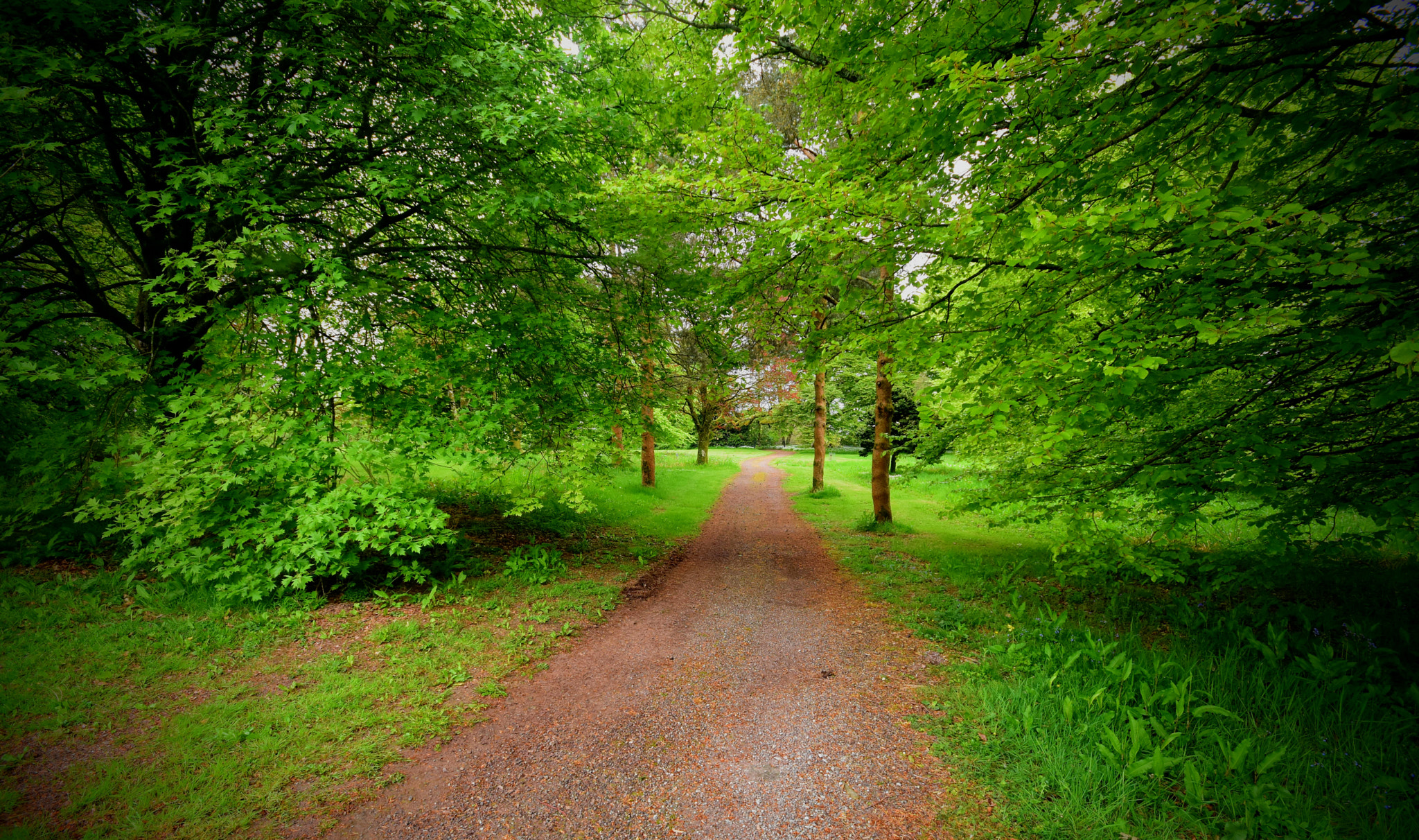 Nikon D7200 + Sigma 10-20mm F4-5.6 EX DC HSM sample photo. Walk in nature! photography