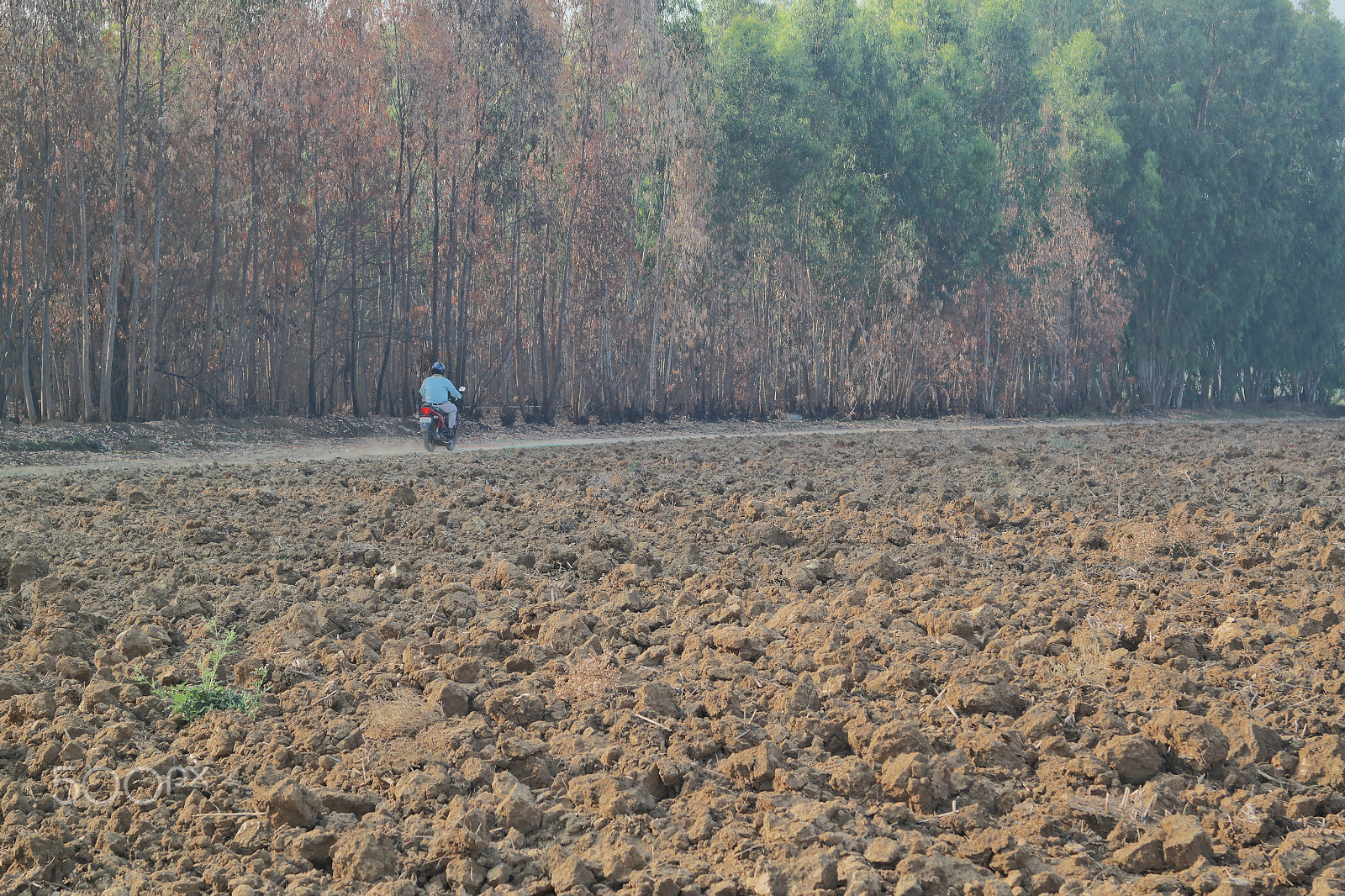 Samsung NX2000 sample photo. Morning ride photography