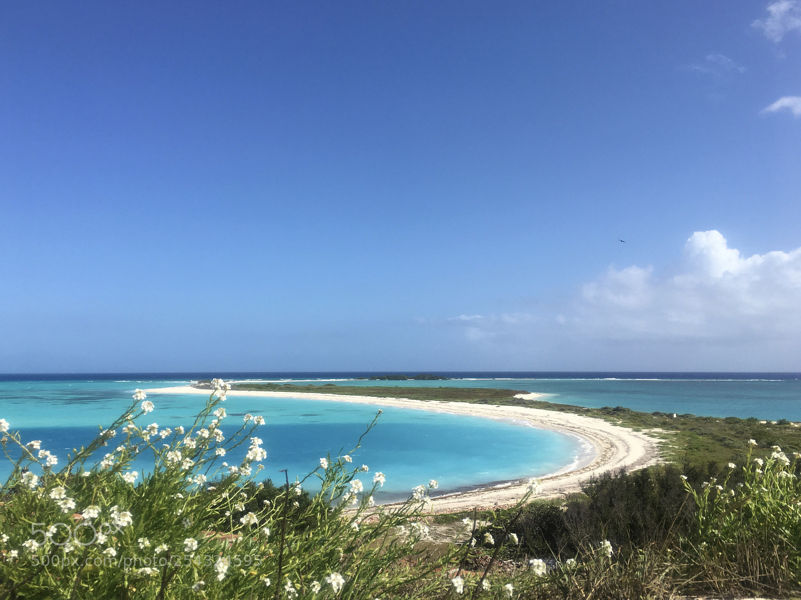 Apple iPhone 6s sample photo. Dry torgugas national park photography