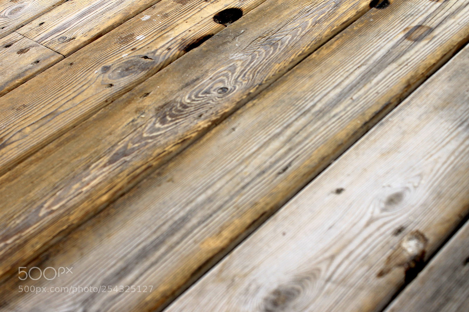 Canon EOS 1100D (EOS Rebel T3 / EOS Kiss X50) sample photo. Madera photography