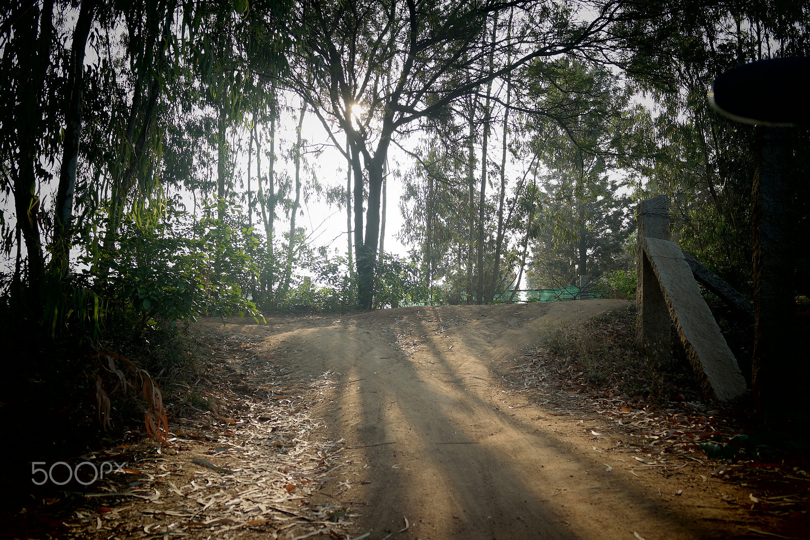 Samsung NX2000 sample photo. Morning ride photography