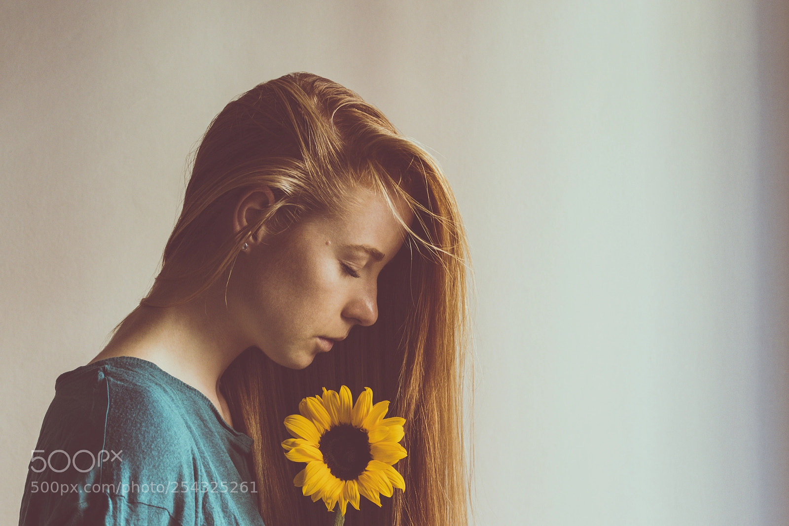 Canon EOS 700D (EOS Rebel T5i / EOS Kiss X7i) sample photo. Yellow sunflower photography