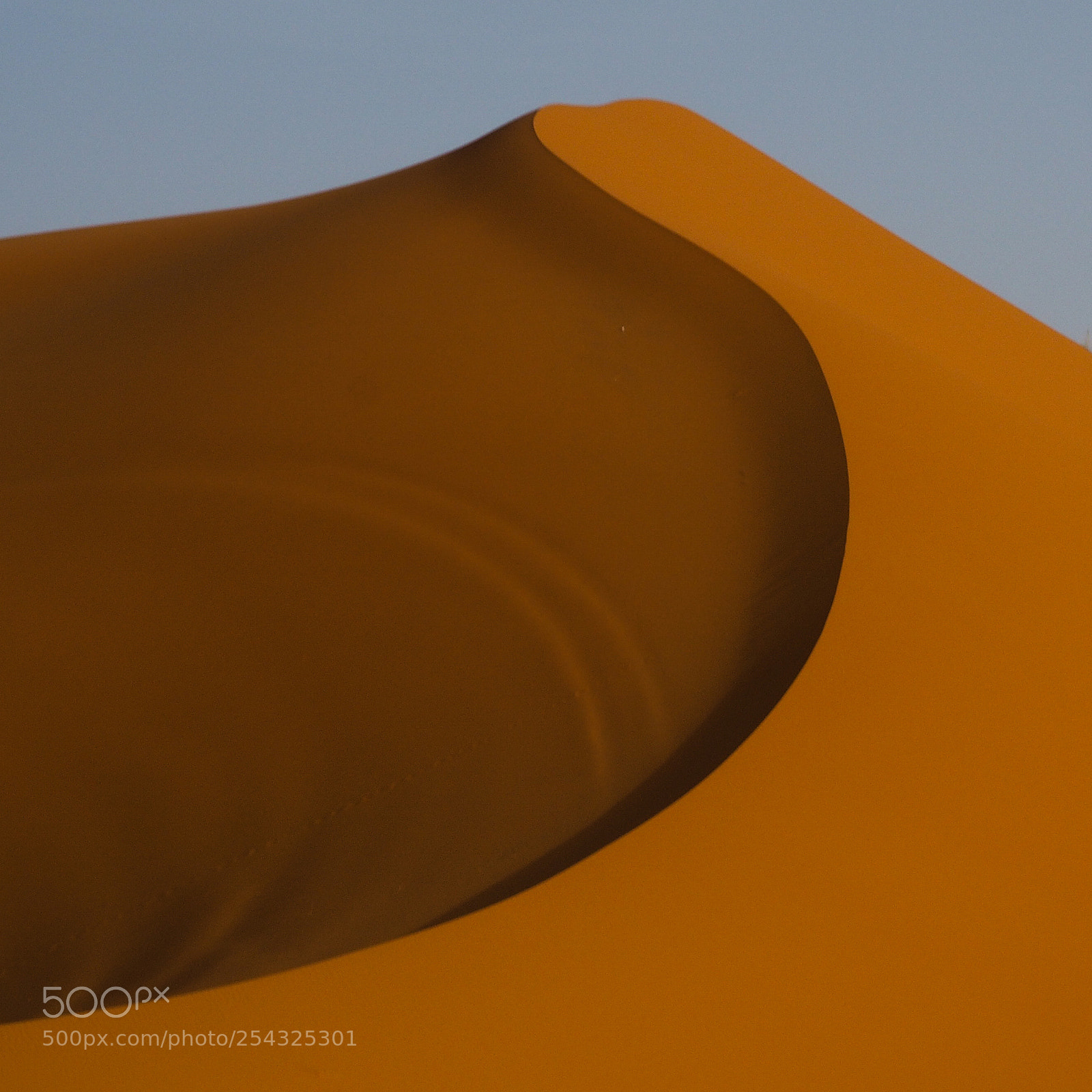 Olympus OM-D E-M5 II sample photo. Desert curve photography