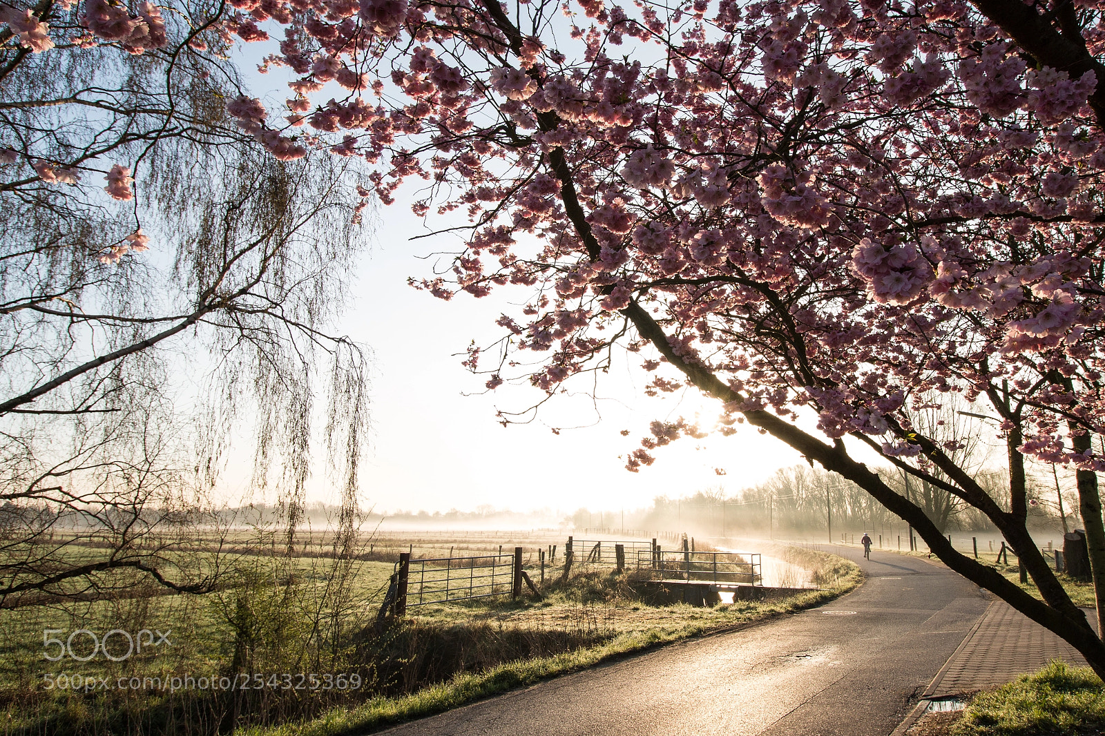 Canon EOS 70D sample photo. April morning sun photography