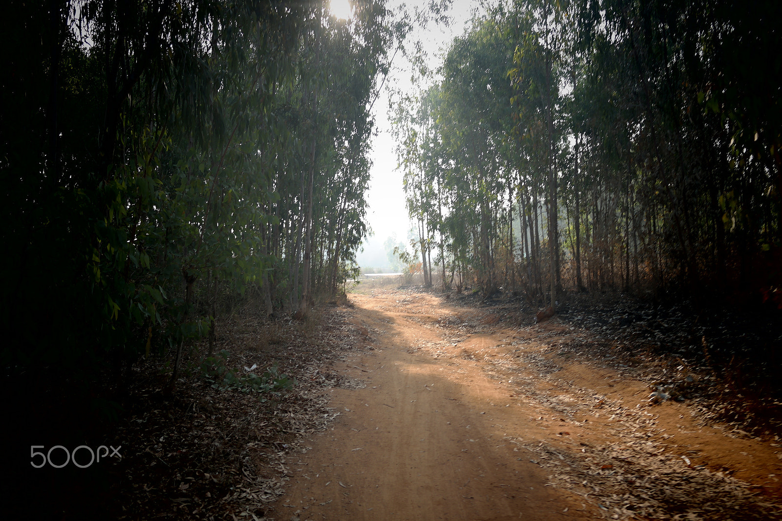 Samsung NX2000 sample photo. Morning ride photography
