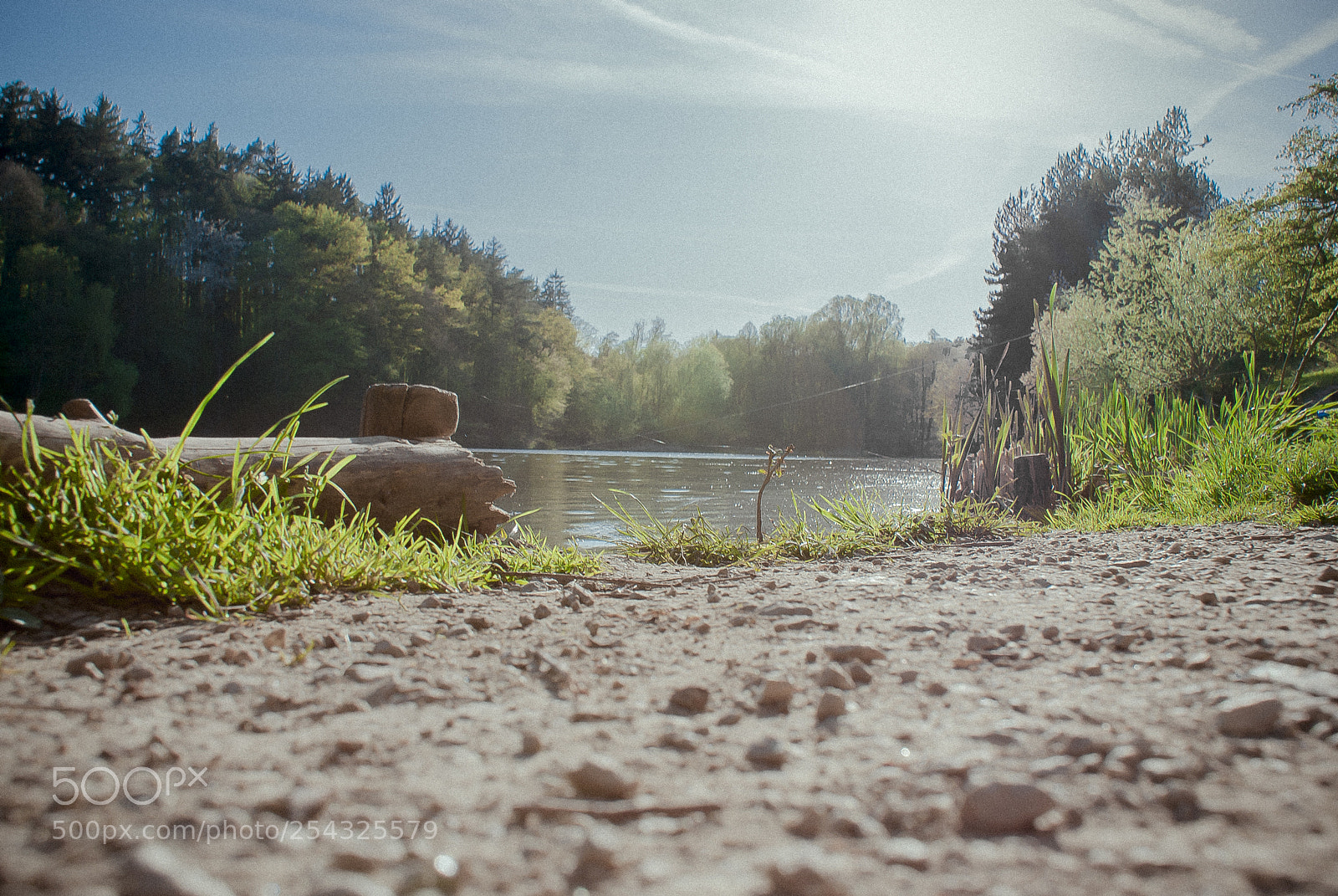 Sony Alpha DSLR-A200 sample photo. Early summer lakeside view photography