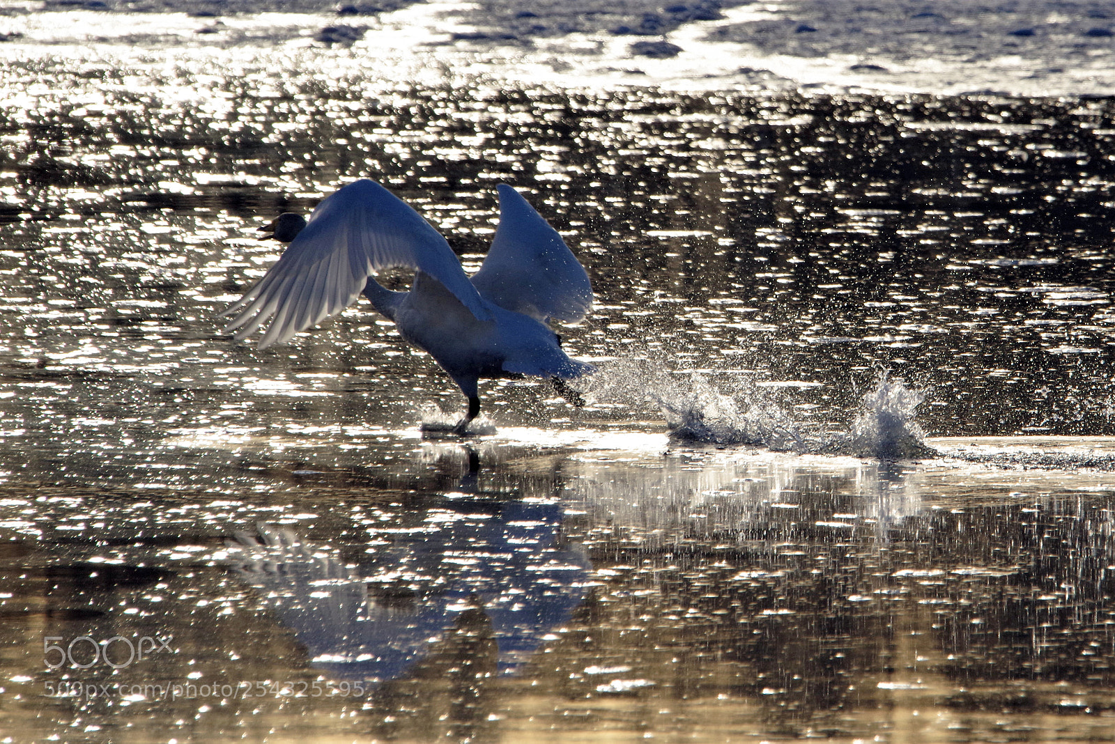 Pentax K-1 sample photo. Takeoff photography