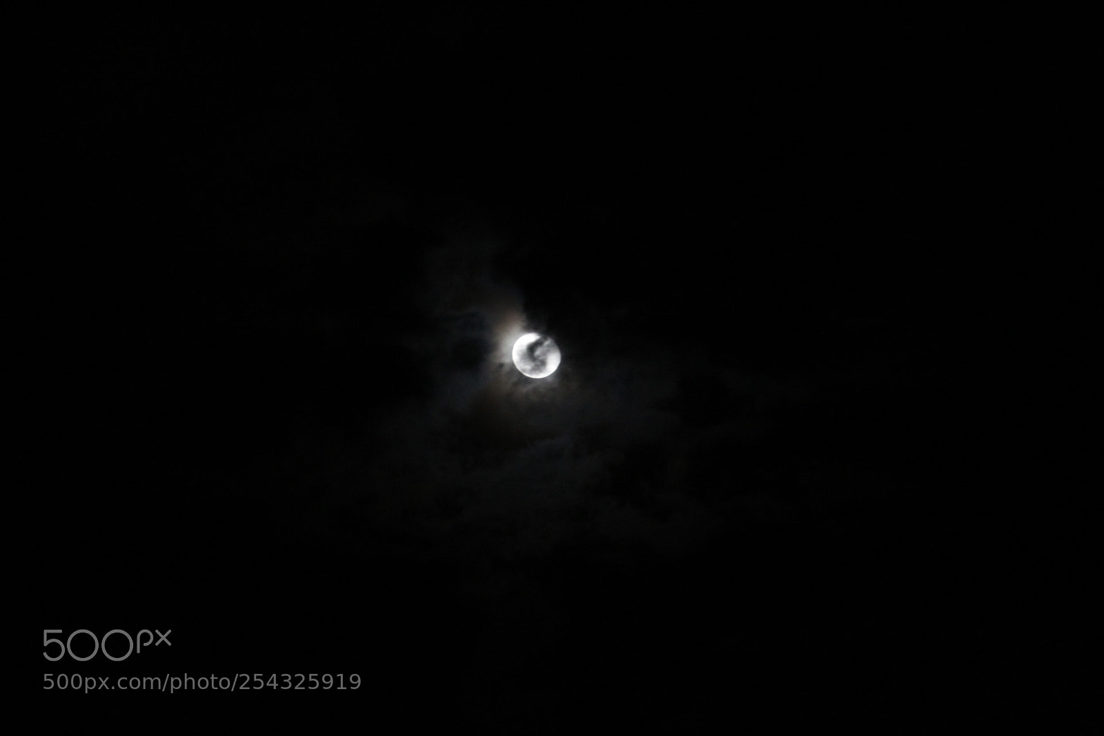 Canon EF-S 55-250mm F4-5.6 IS II sample photo. Untitled photography