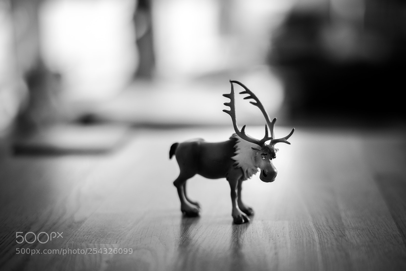Leica M (Typ 240) sample photo. Hey dude photography