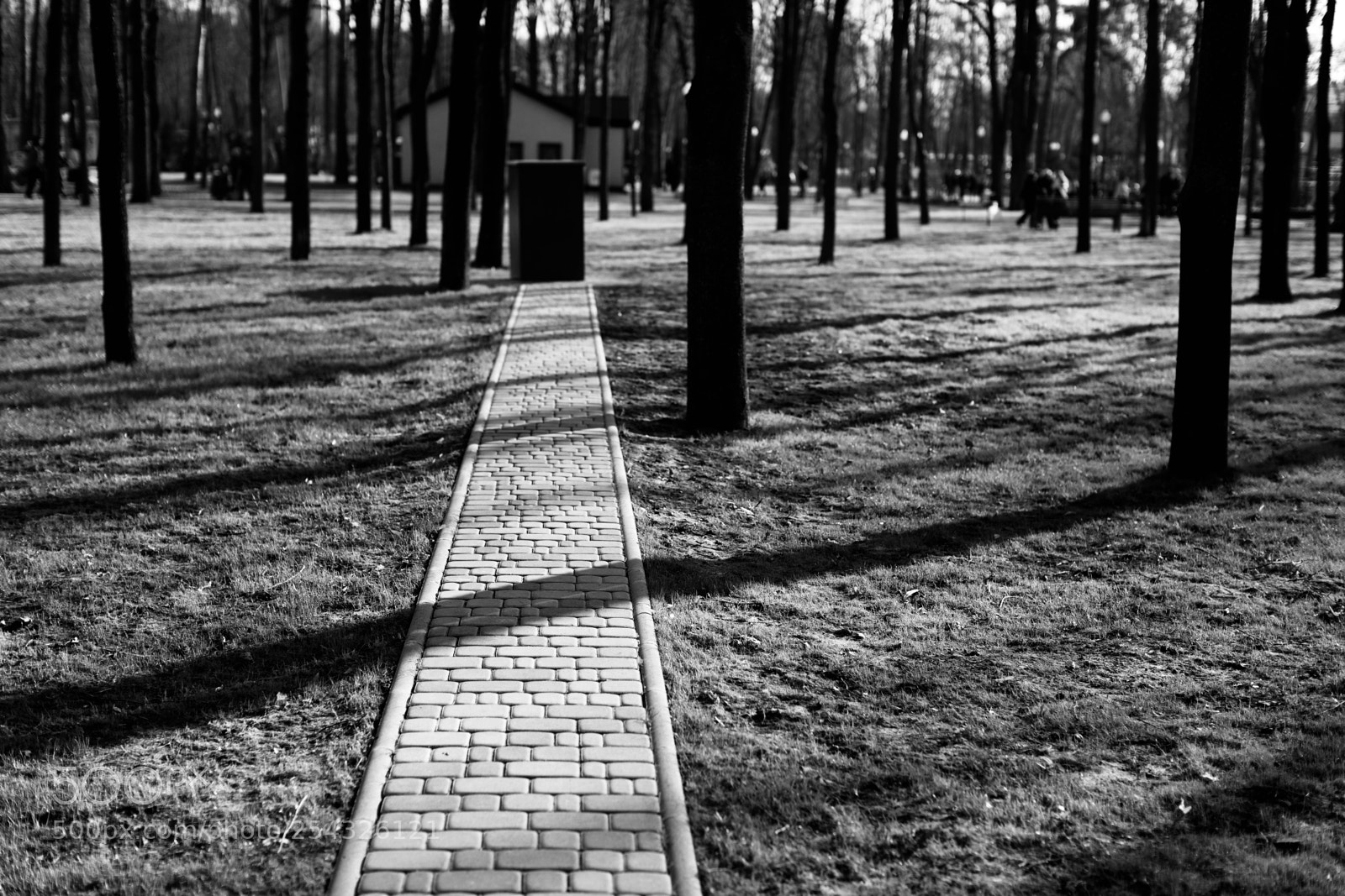 Canon EOS 5DS sample photo. Way photography