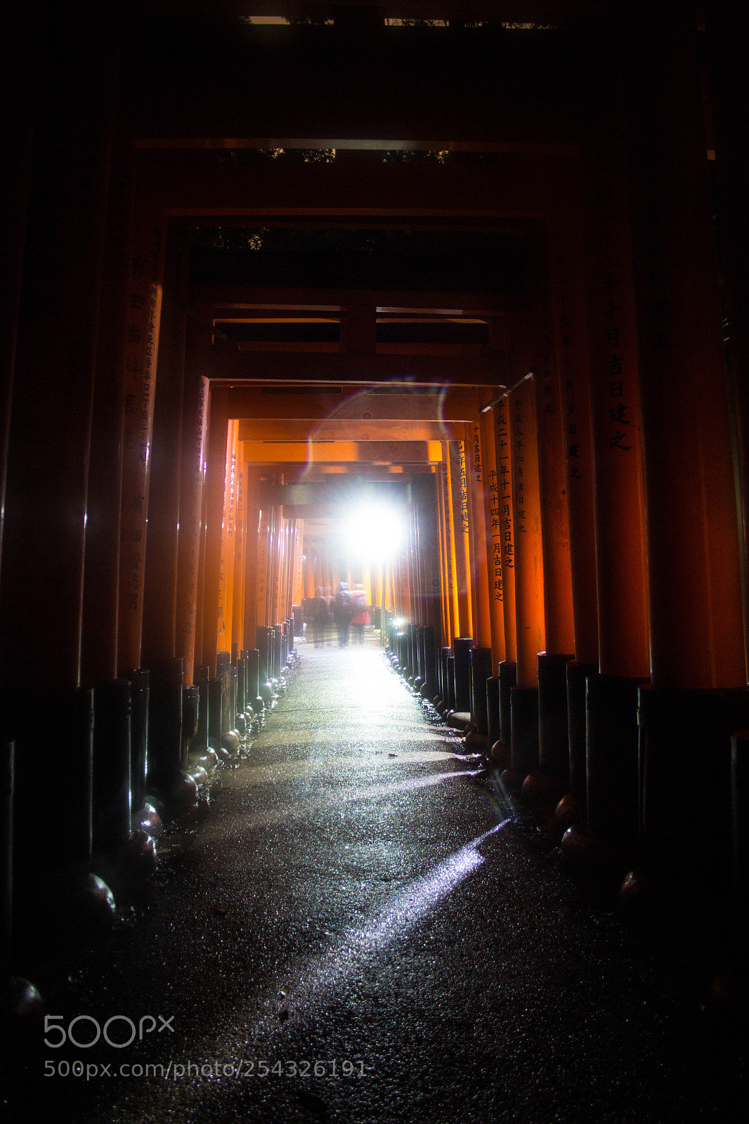 Canon EOS 60D sample photo. The light at the photography