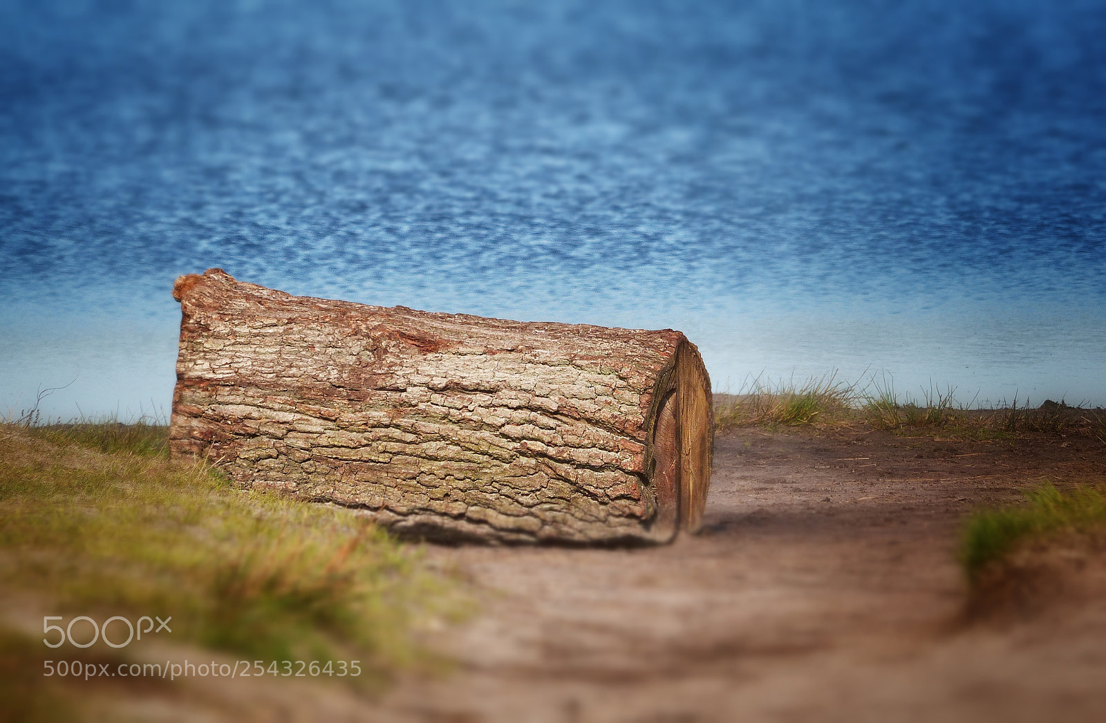 Panasonic Lumix DMC-FZ200 sample photo. Lake log photography