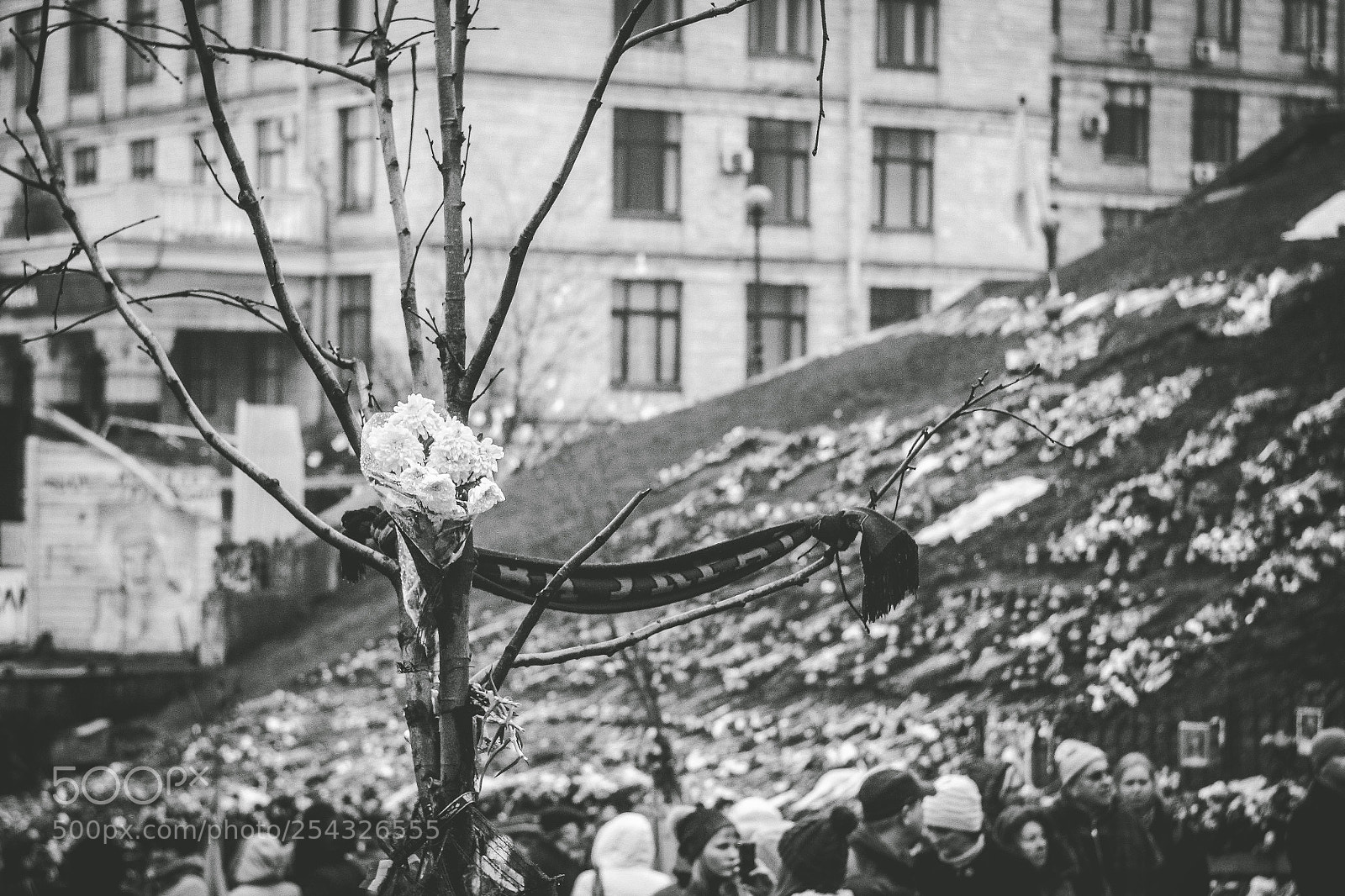Canon EOS 550D (EOS Rebel T2i / EOS Kiss X4) sample photo. Ukrainian revolution 2014 photography
