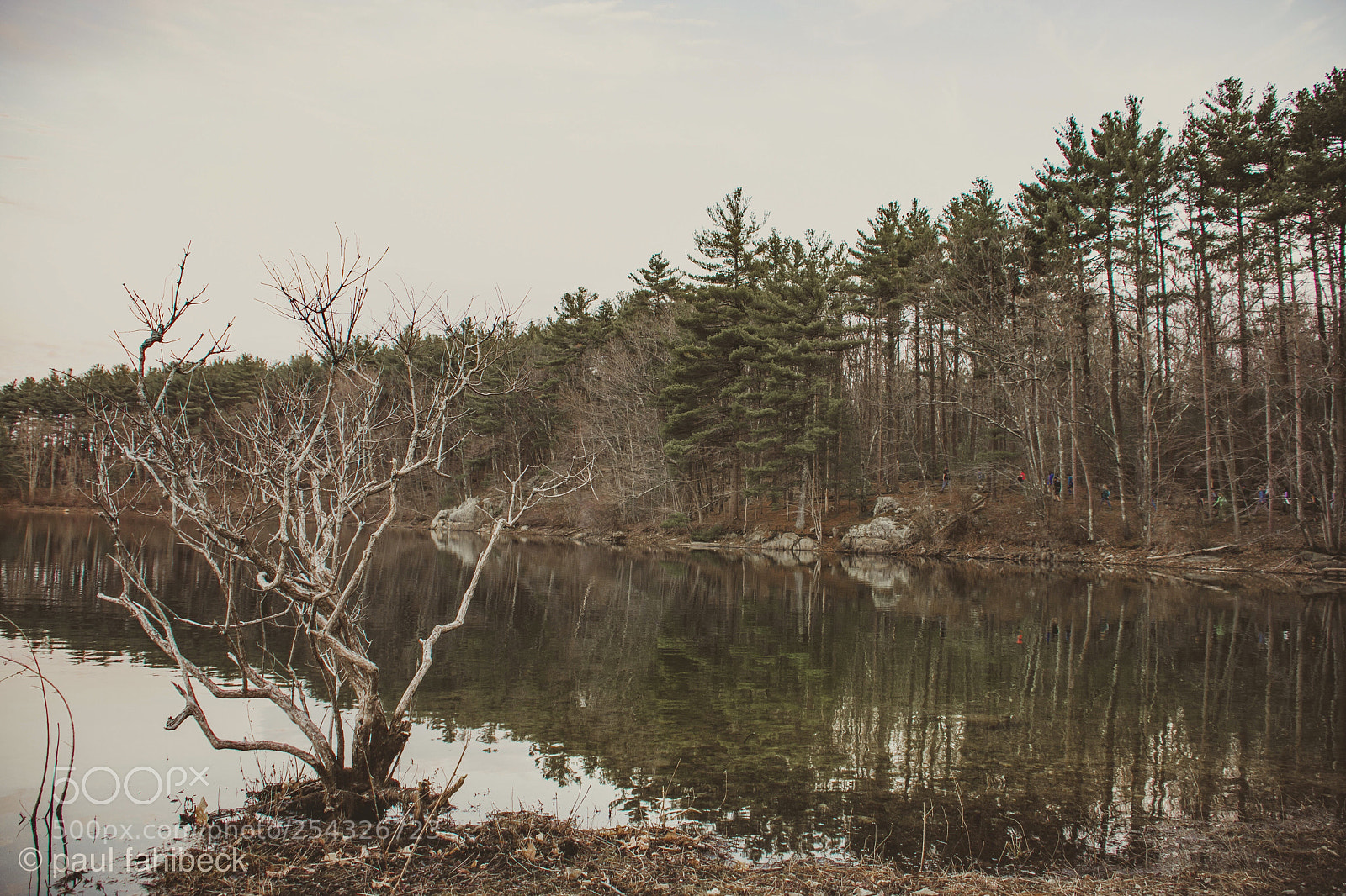 Nikon D7200 sample photo. Untitled photography