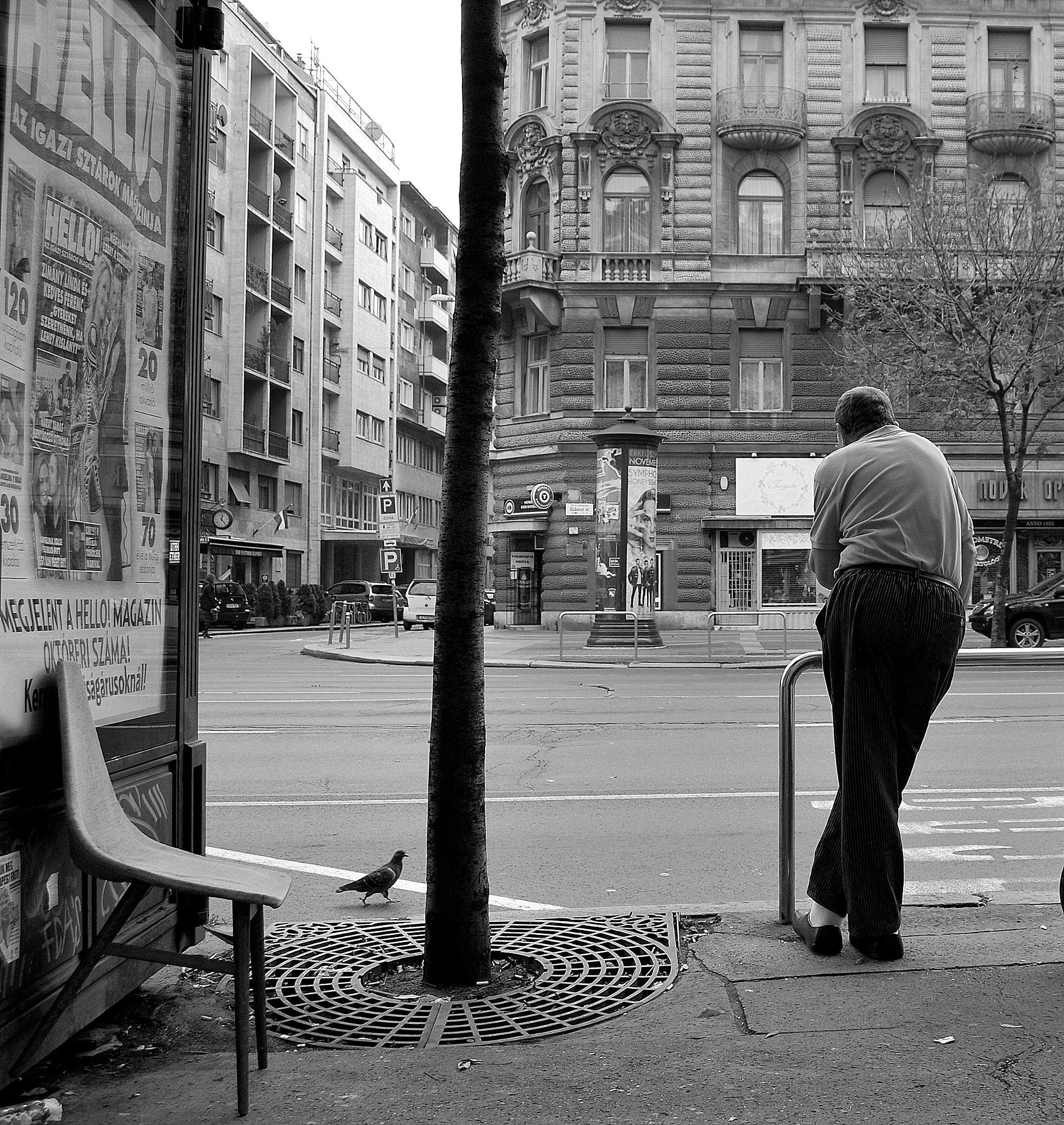 Nikon D60 sample photo. Too long photography