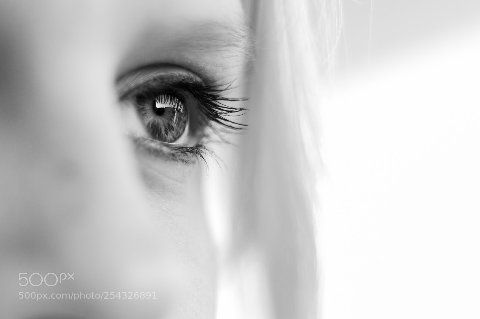 Canon EOS 7D sample photo. .eye photography