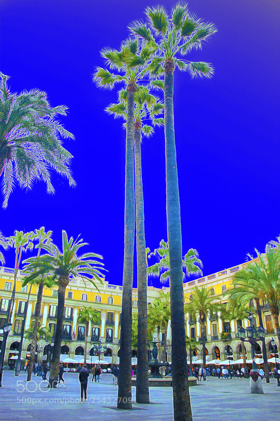 Nikon D50 sample photo. Placa reial photography
