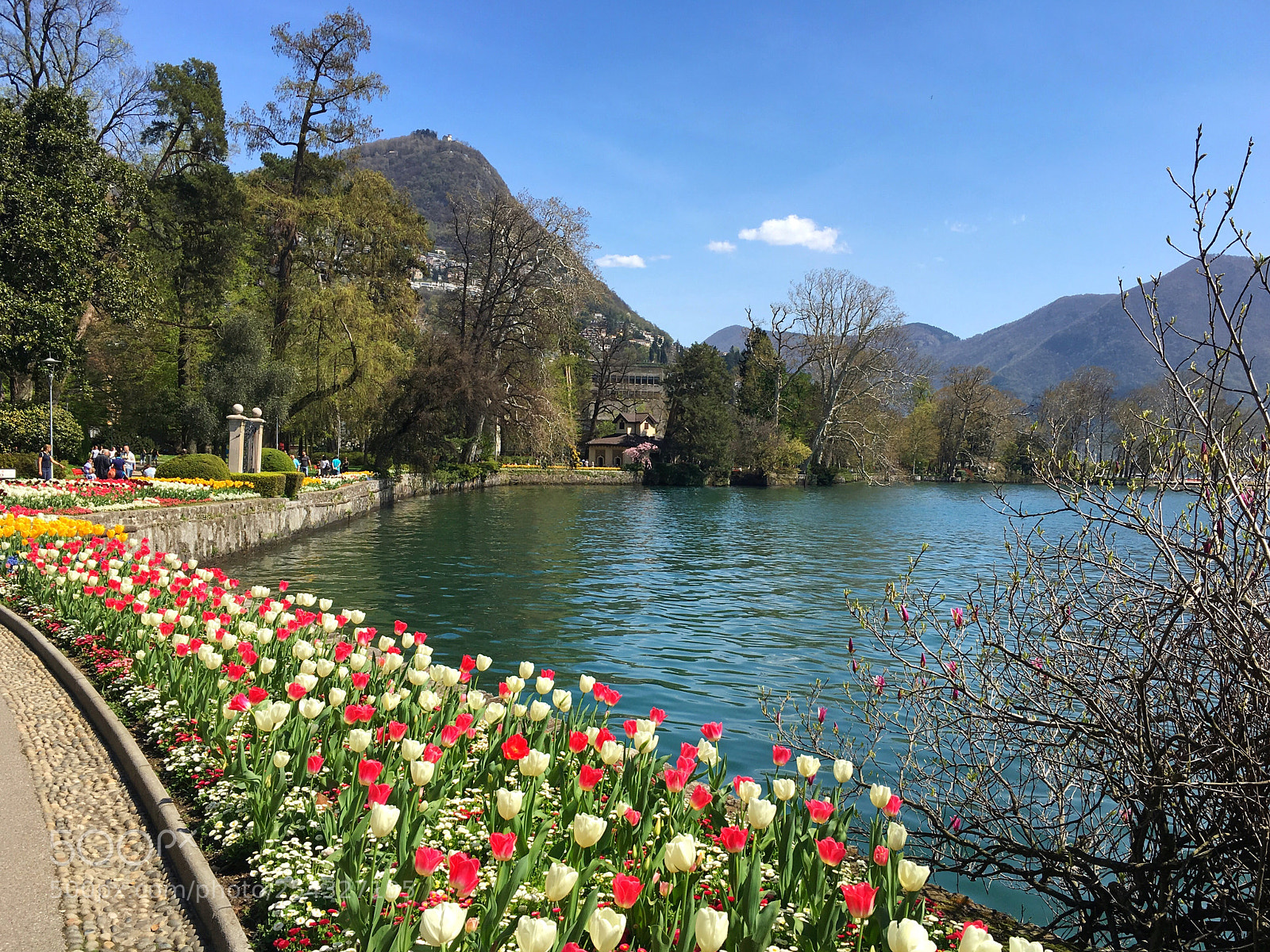 Apple iPhone 6s sample photo. Tappeto fiorito photography