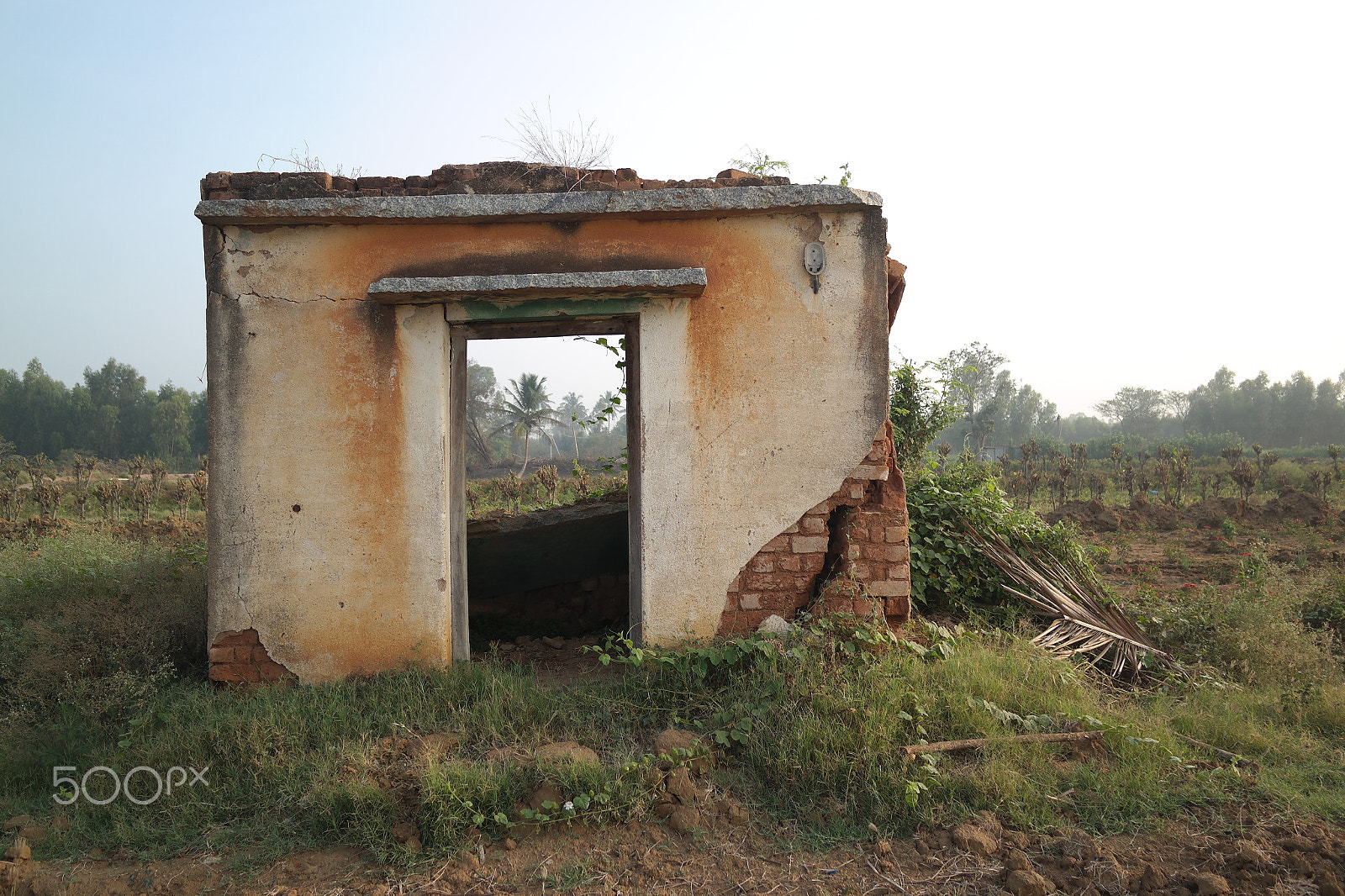 Samsung NX2000 sample photo. Door to nature photography