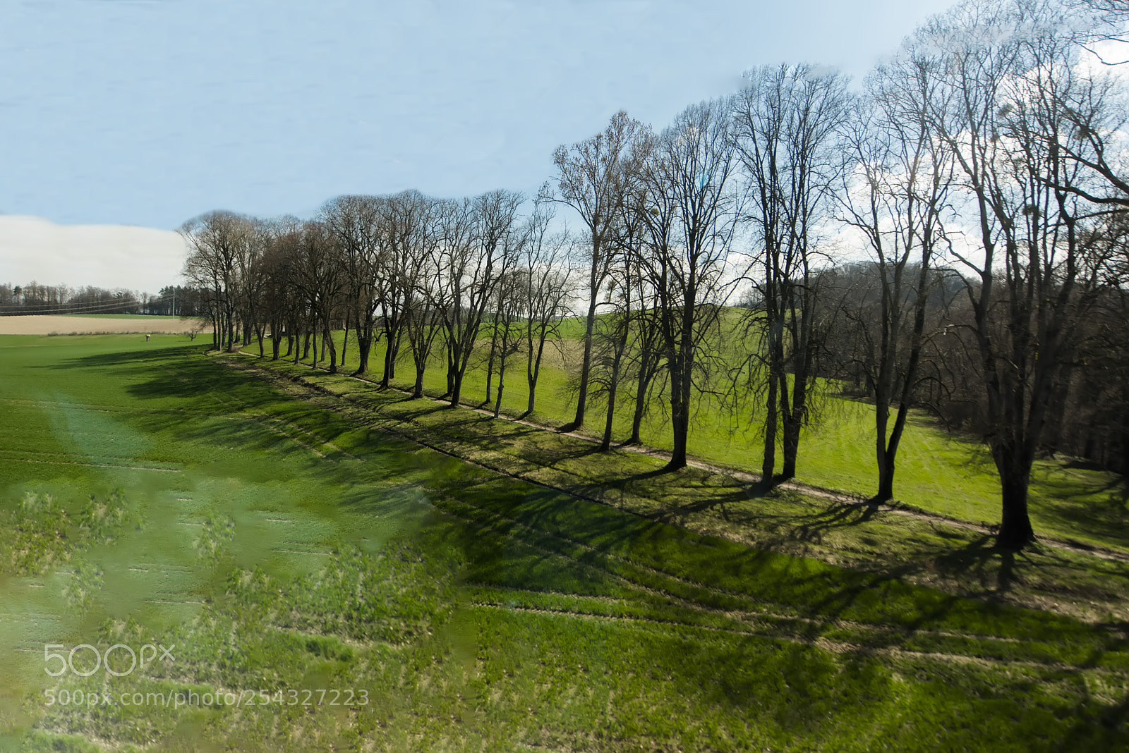 Nikon D810 sample photo. Fields... switzerland photography