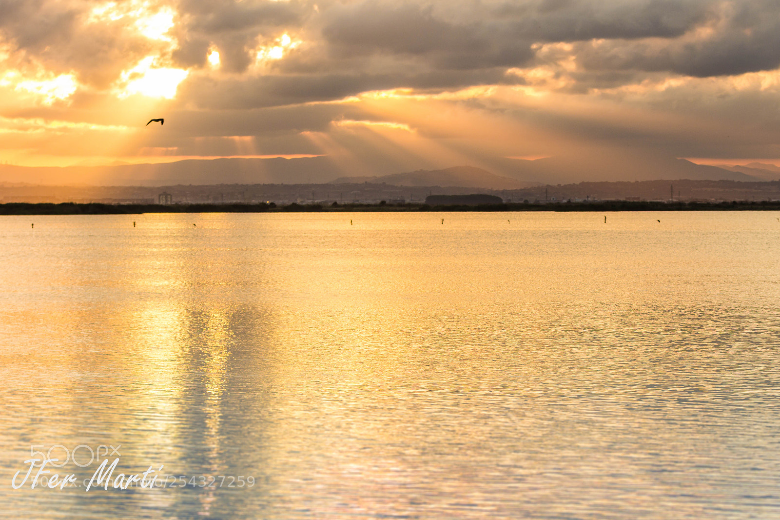Canon EOS 60D sample photo. Albufera dorada photography