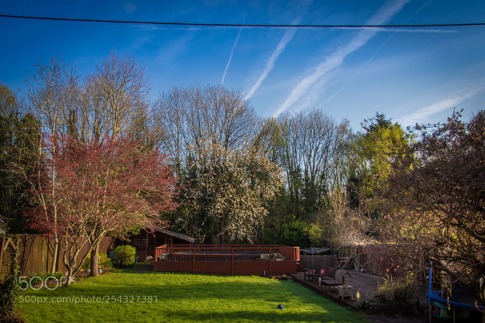 Nikon D7200 sample photo. Spring photography