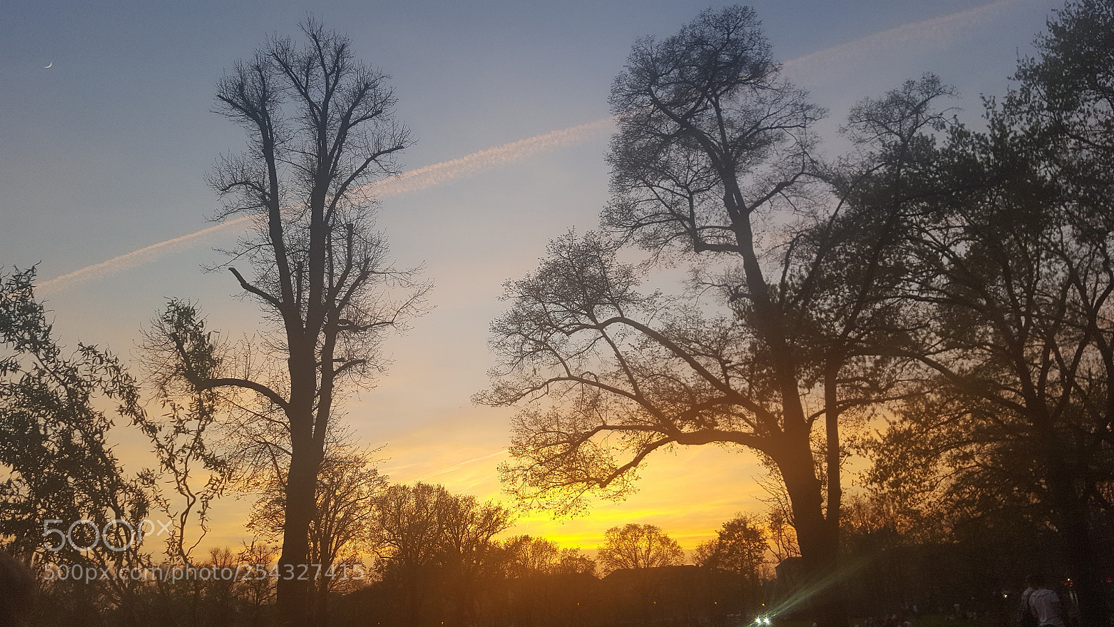 Samsung GALAXY S6 edge sample photo. Untitled photography