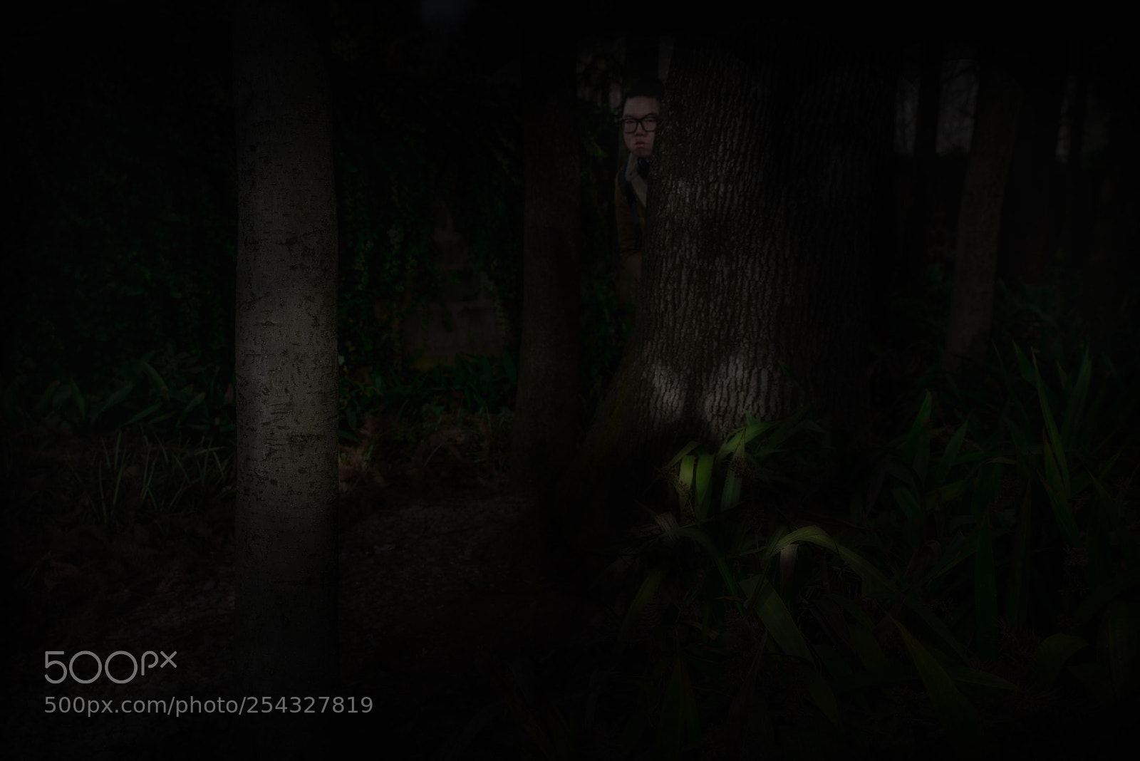 Pentax K-1 sample photo. Untitled photography