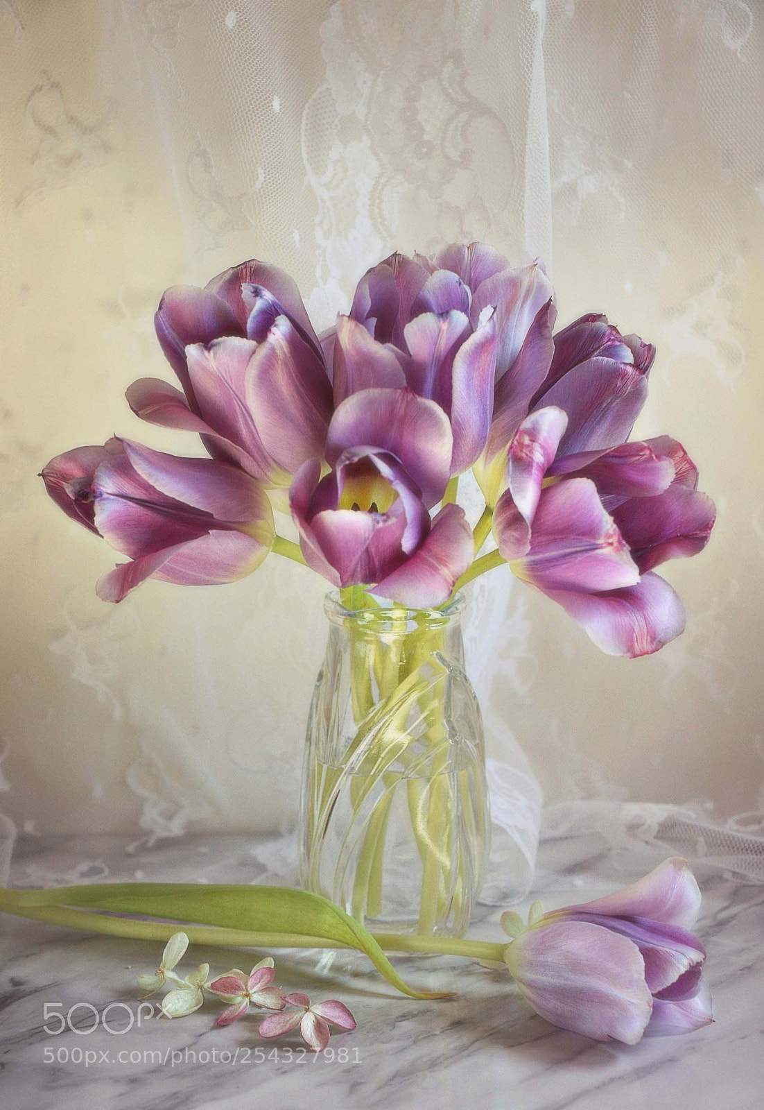 Canon EOS 70D sample photo. Ephemeral beauty photography