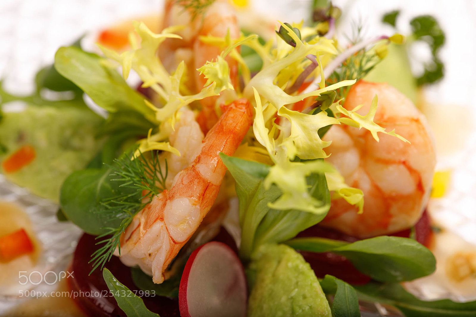 Canon EOS 5D Mark IV sample photo. Get hungry photography