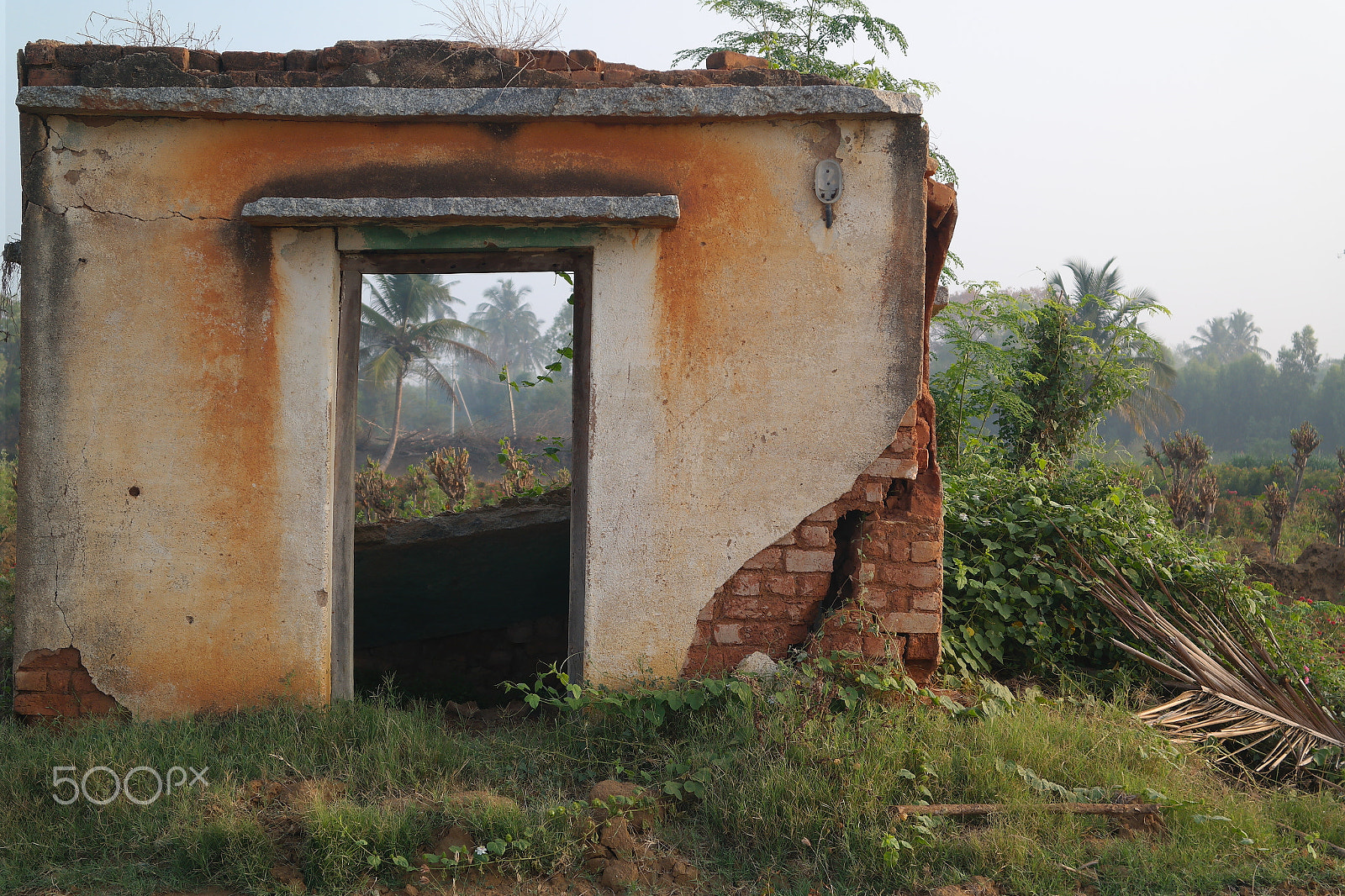 Samsung NX2000 sample photo. Door to nature photography