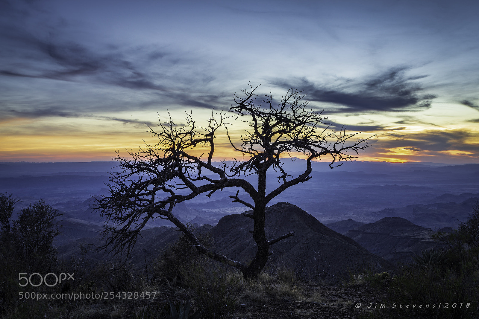 Canon EOS-1D X sample photo. Big bend national park photography