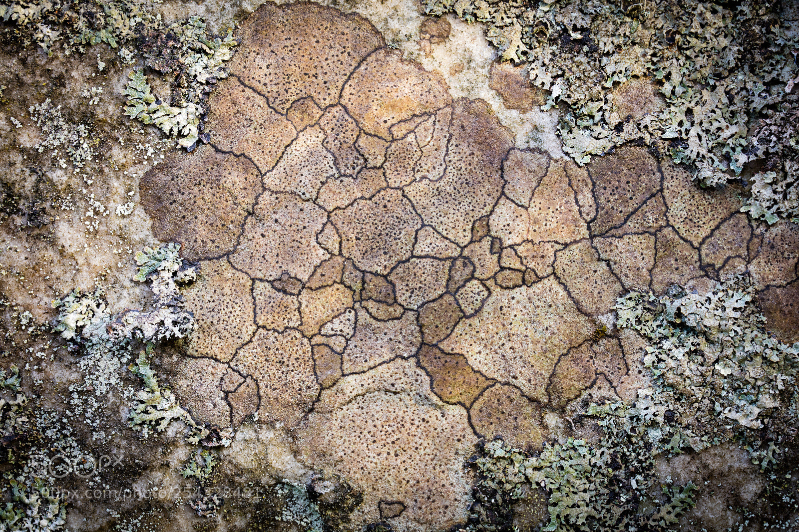 Canon EOS 5DS R sample photo. The hidden map photography