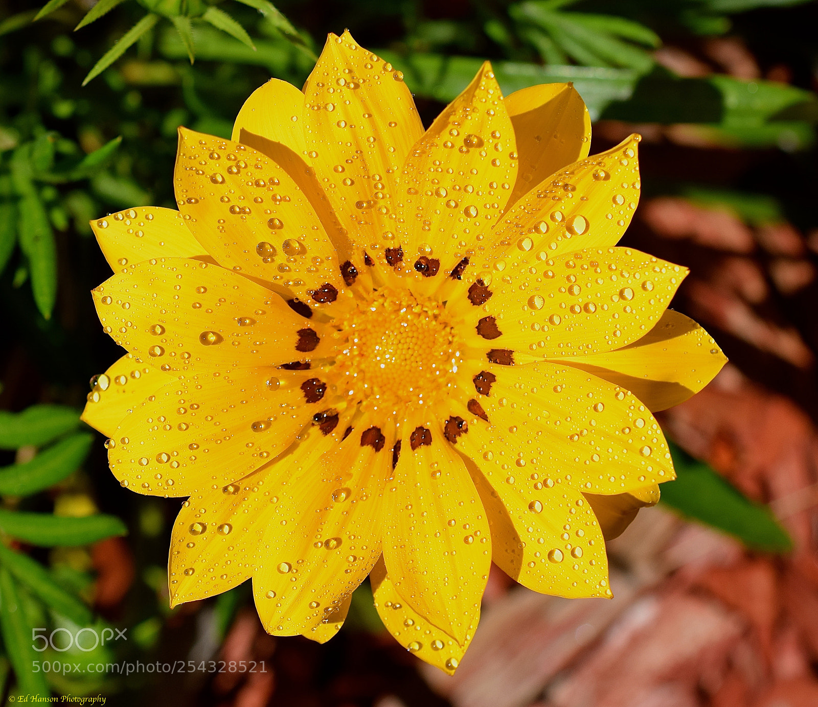 Nikon D3300 sample photo. Sunny days ahead photography