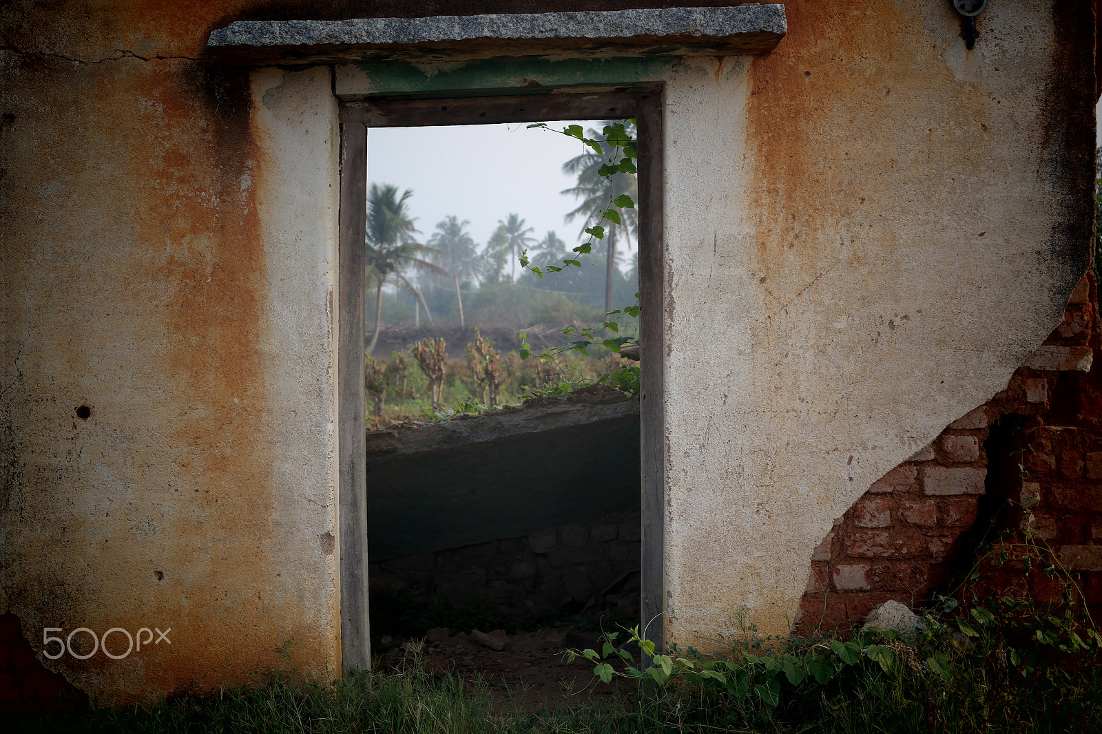 Samsung NX2000 sample photo. Door to nature photography