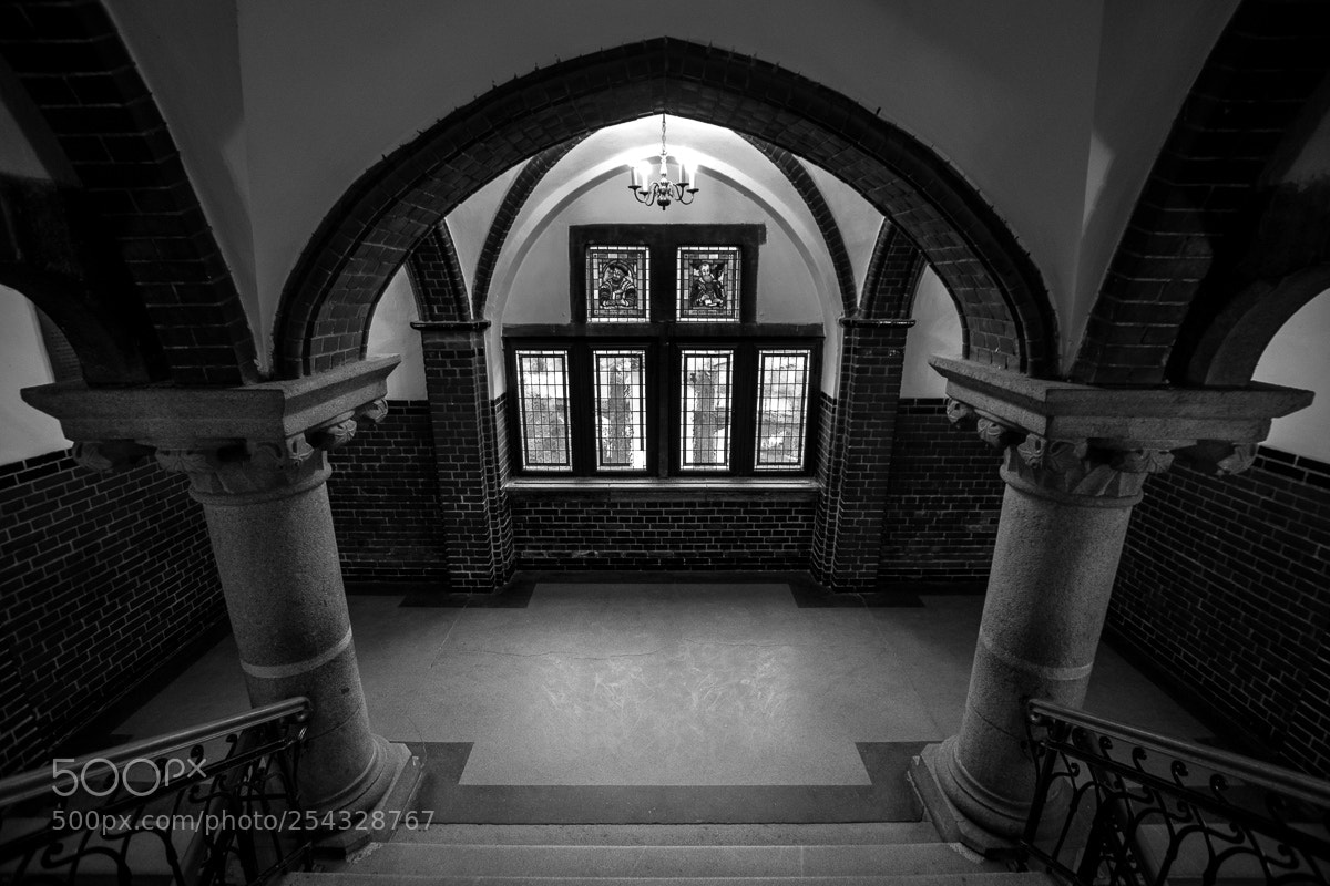 Nikon D7100 sample photo. Nicolaus copernicus university photography