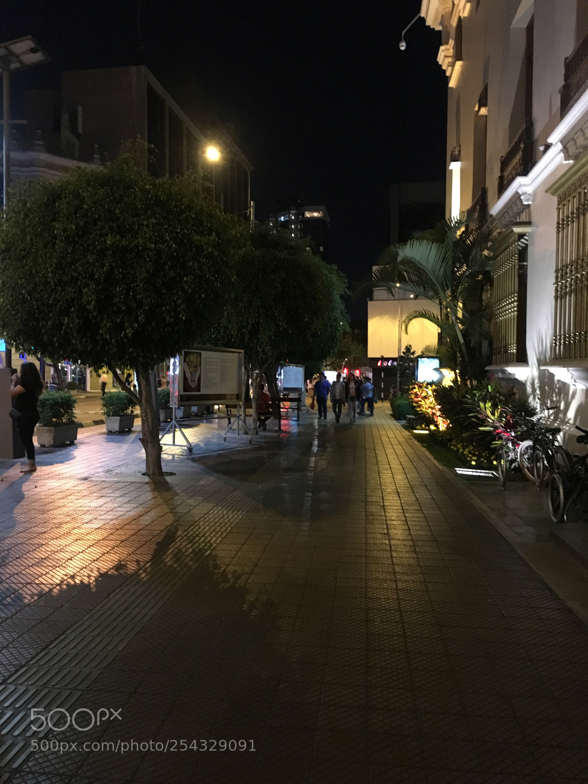 Apple iPhone 6s sample photo. Untitled photography