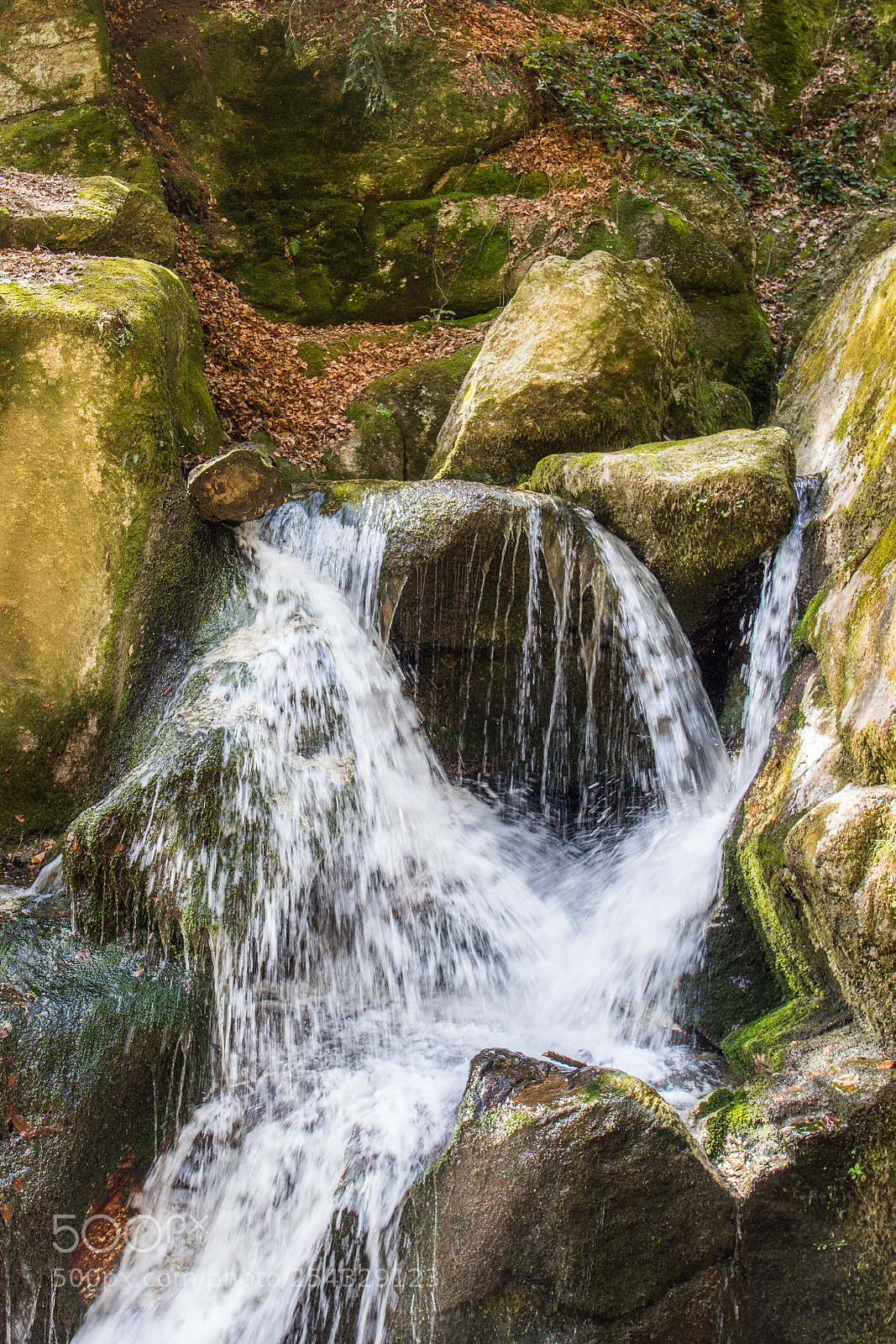 Canon EOS 6D Mark II sample photo. Wolfsschlucht 2 photography