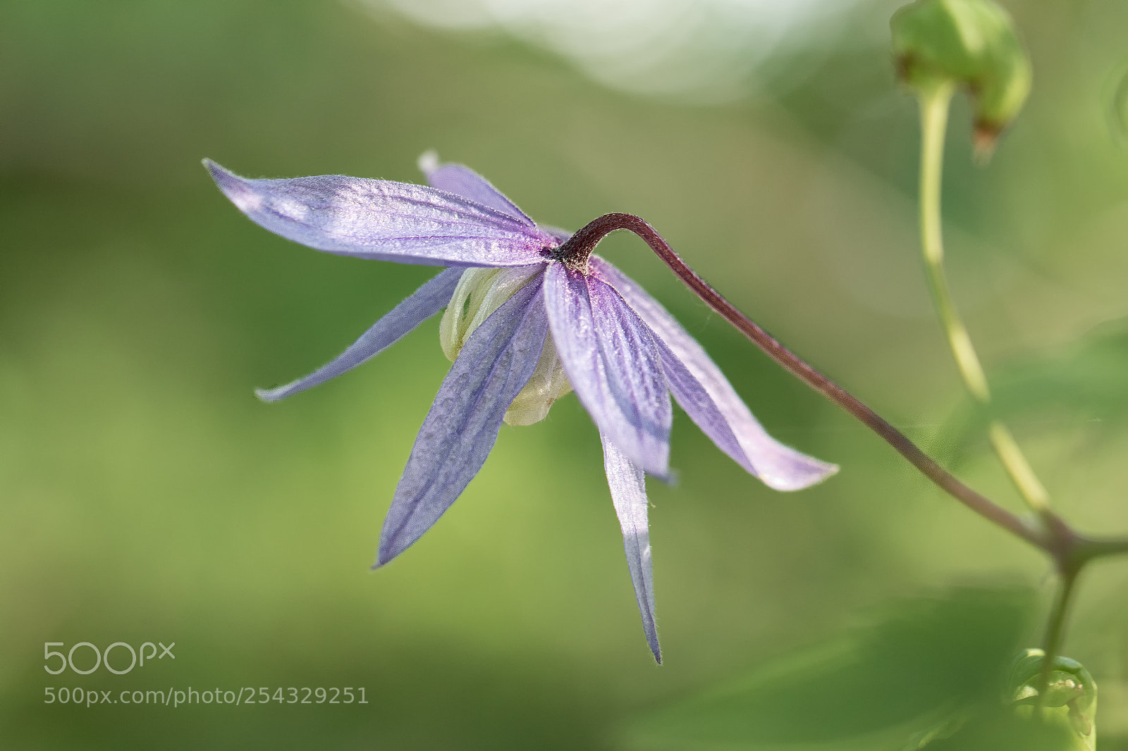 Canon EOS 7D Mark II sample photo. Ka photography