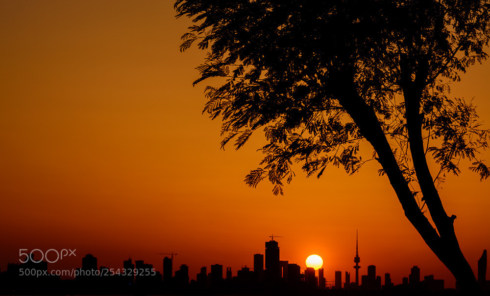 Nikon D5200 sample photo. Sun_sity photography