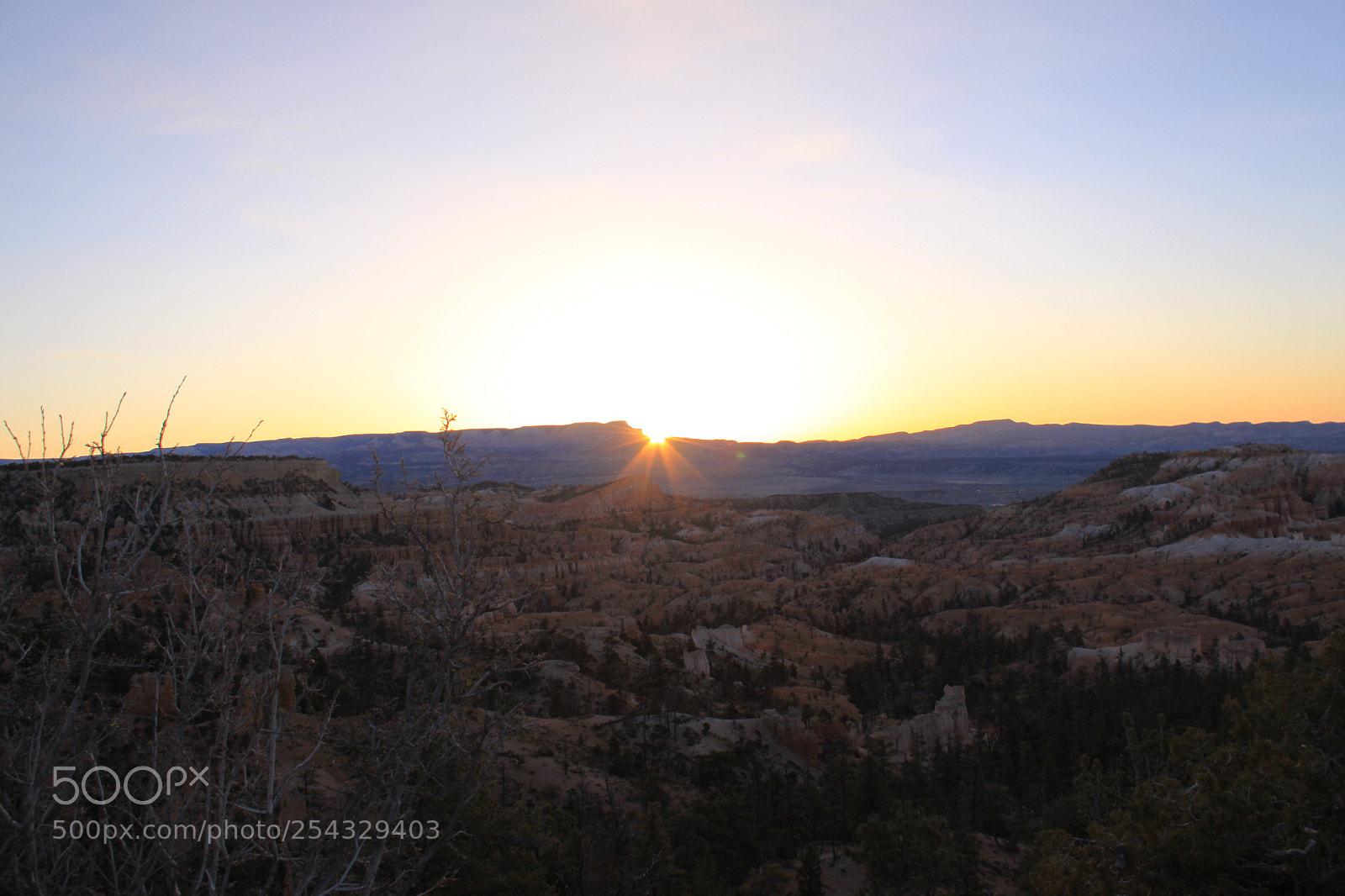 Canon EOS 50D sample photo. Untitled photography