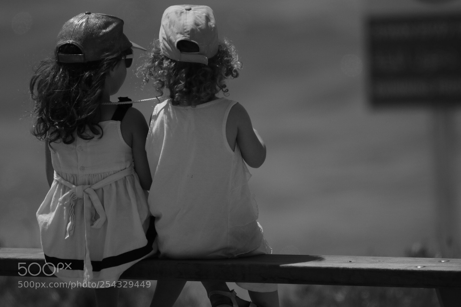 Canon EOS 80D sample photo. Untitled photography