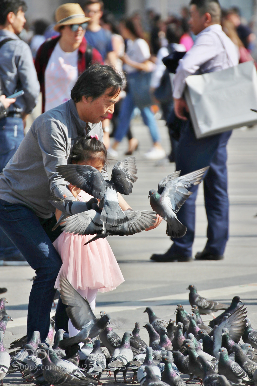 Canon EOS 80D sample photo. The birds! photography