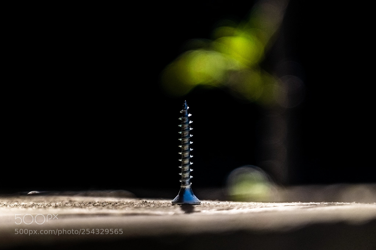 Fujifilm X-T1 sample photo. Screw in springtime photography