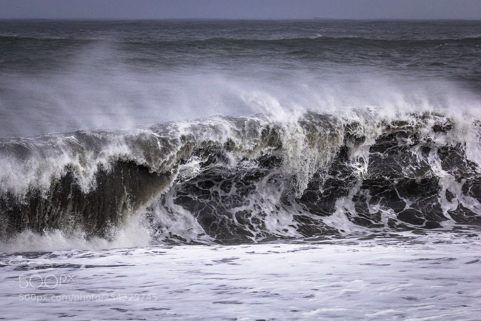 Canon EOS 60D sample photo. Ravenous photography