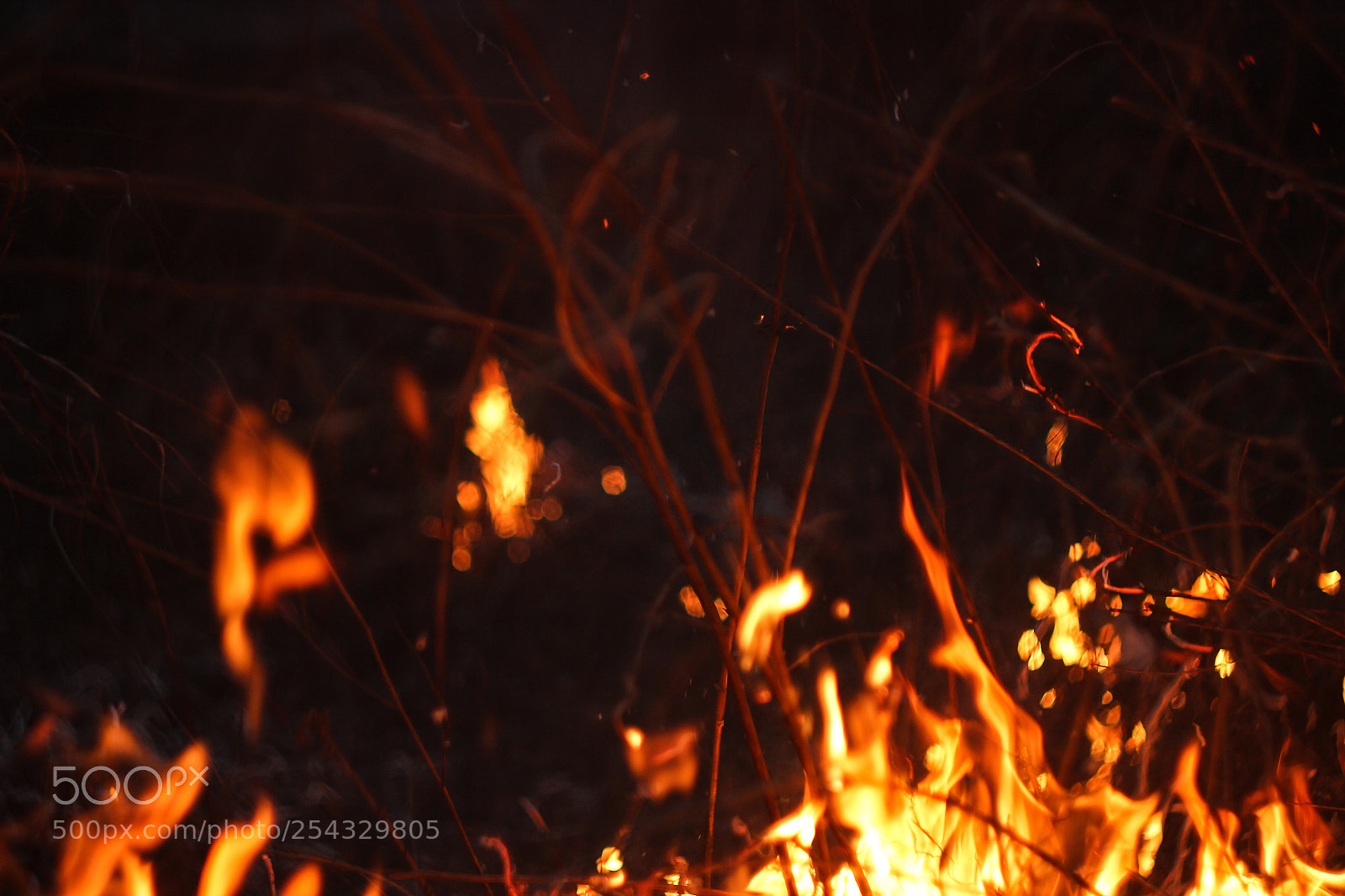 Canon EOS 600D (Rebel EOS T3i / EOS Kiss X5) sample photo. Burning field photography
