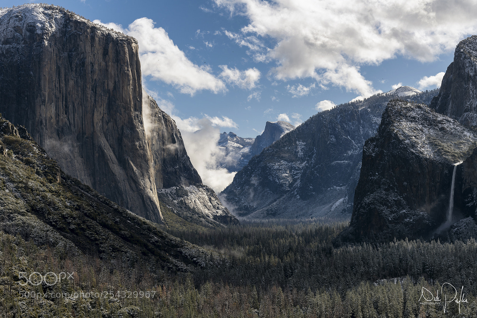 Nikon D850 sample photo. Tunnel view photography