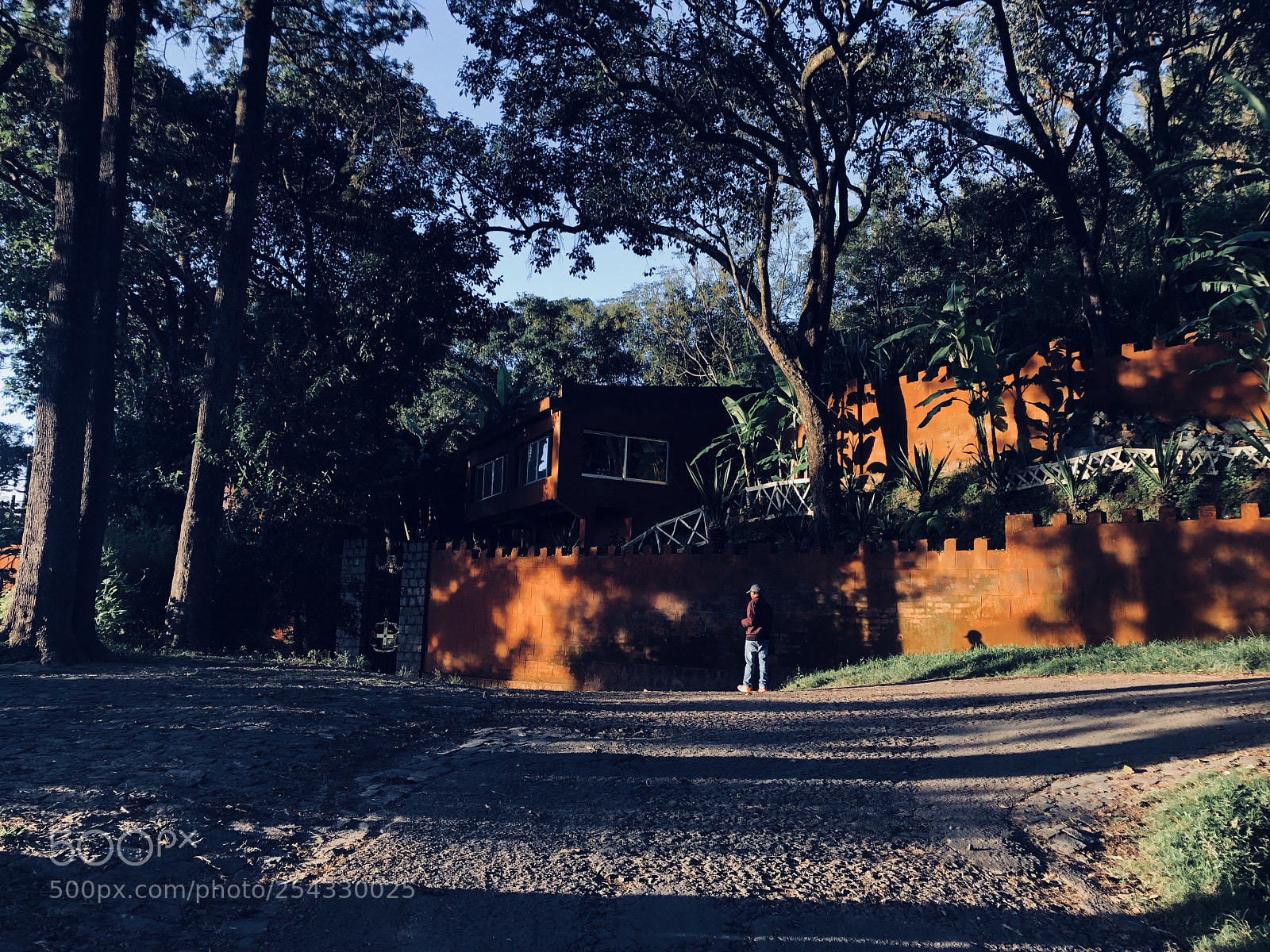 Apple iPhone 8 Plus sample photo. Untitled photography